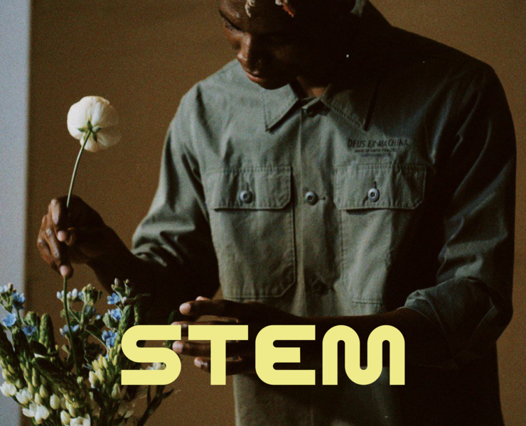 STEM | Flower shop branding — Брендинг на Dprofile