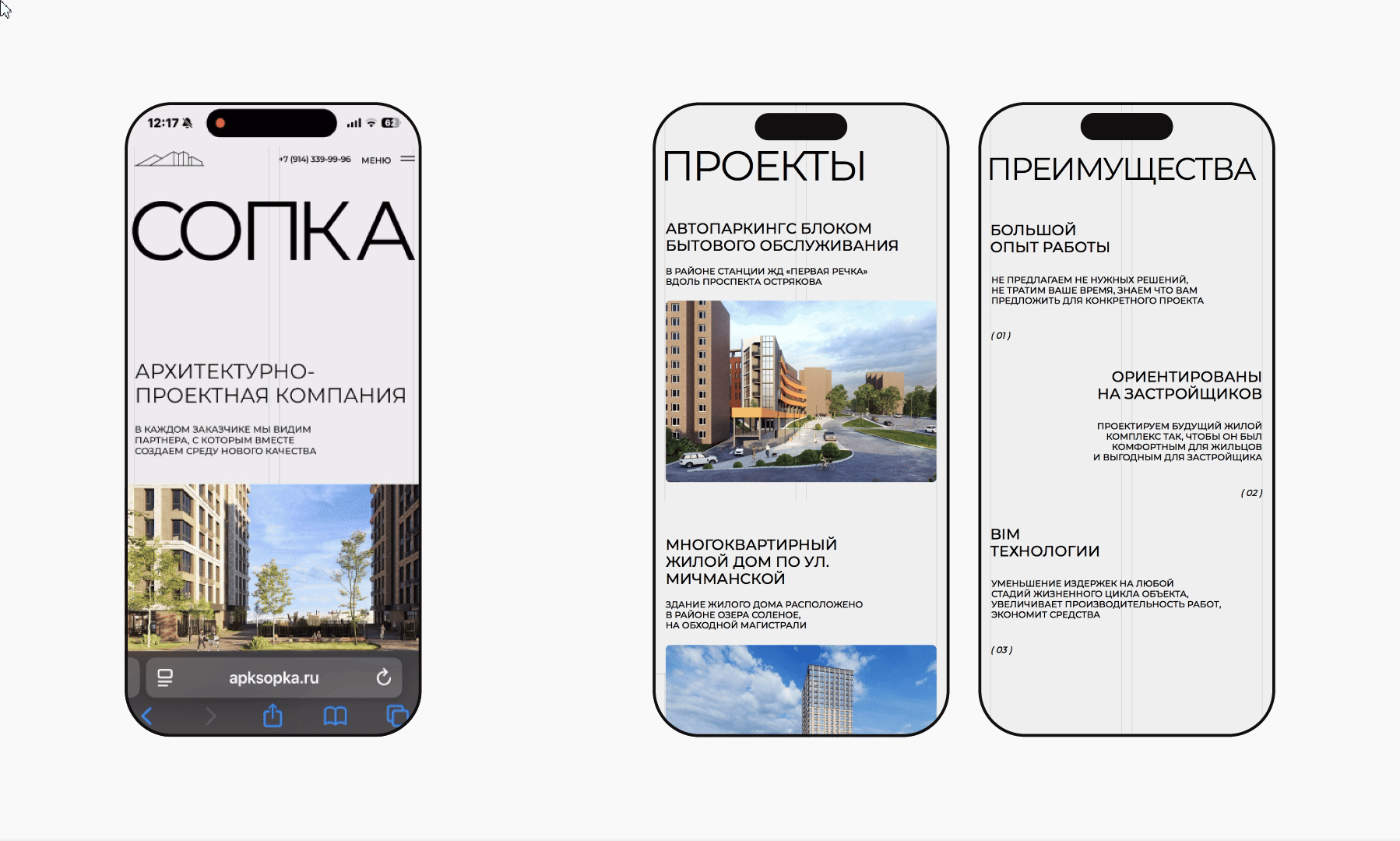 Архитектурно-проектная компания «СОПКА» — Изображение №12 — Интерфейсы, Брендинг на Dprofile