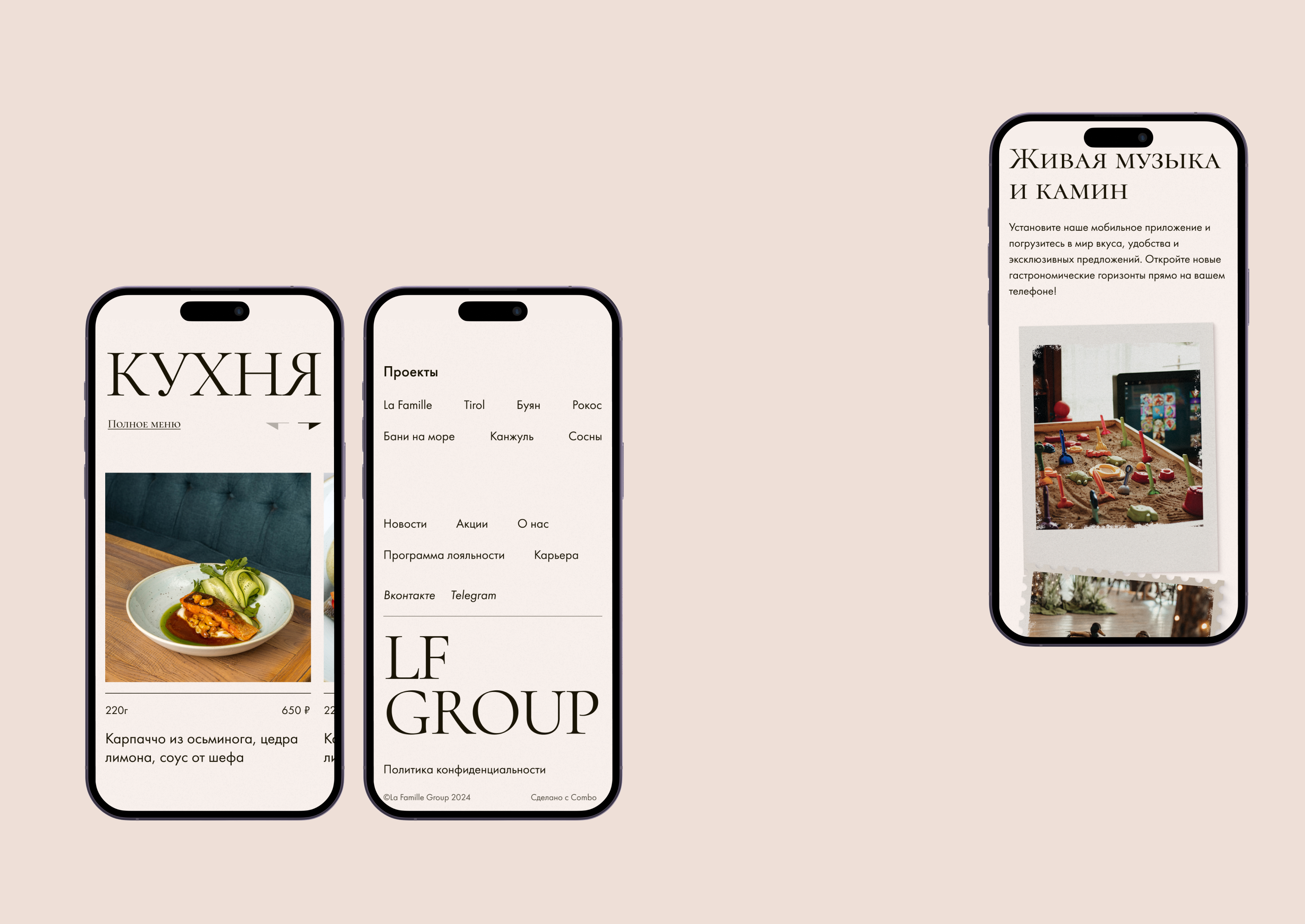 La Famille Group – ресторанный холдинг — Изображение №12 — Интерфейсы, Анимация на Dprofile