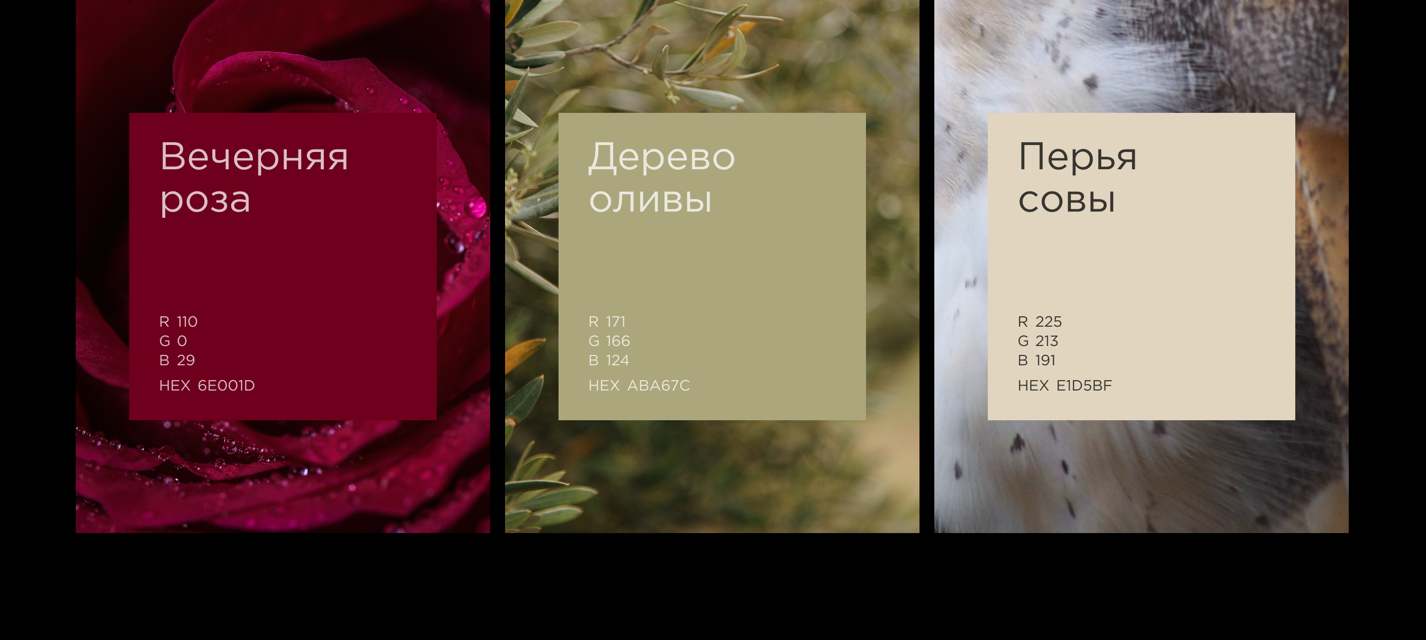 Eternelle | Мерч — Изображение №2 — Брендинг на Dprofile