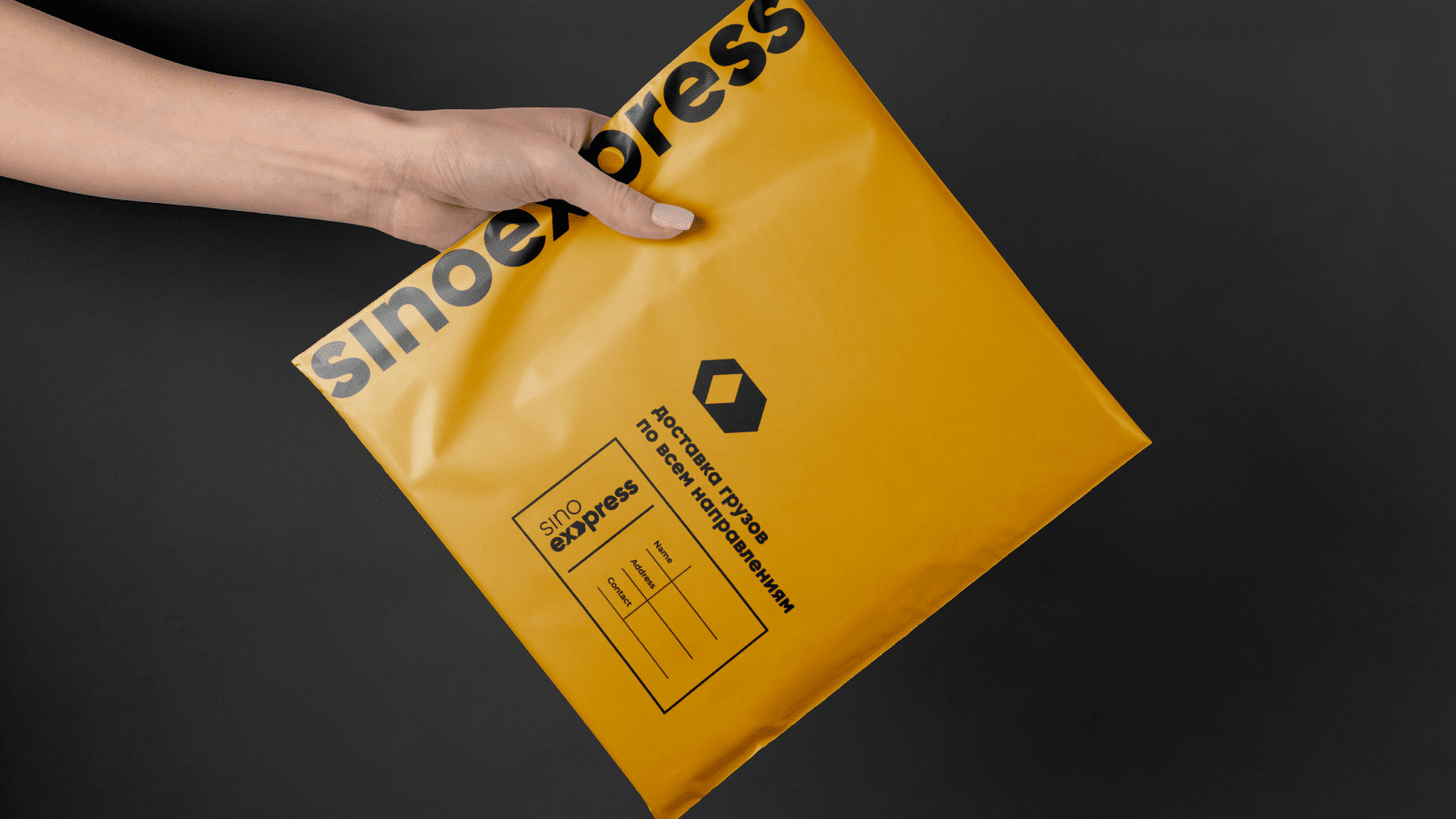 Айдентика для Sinoexpress — Изображение №16 — Брендинг, Графика на Dprofile