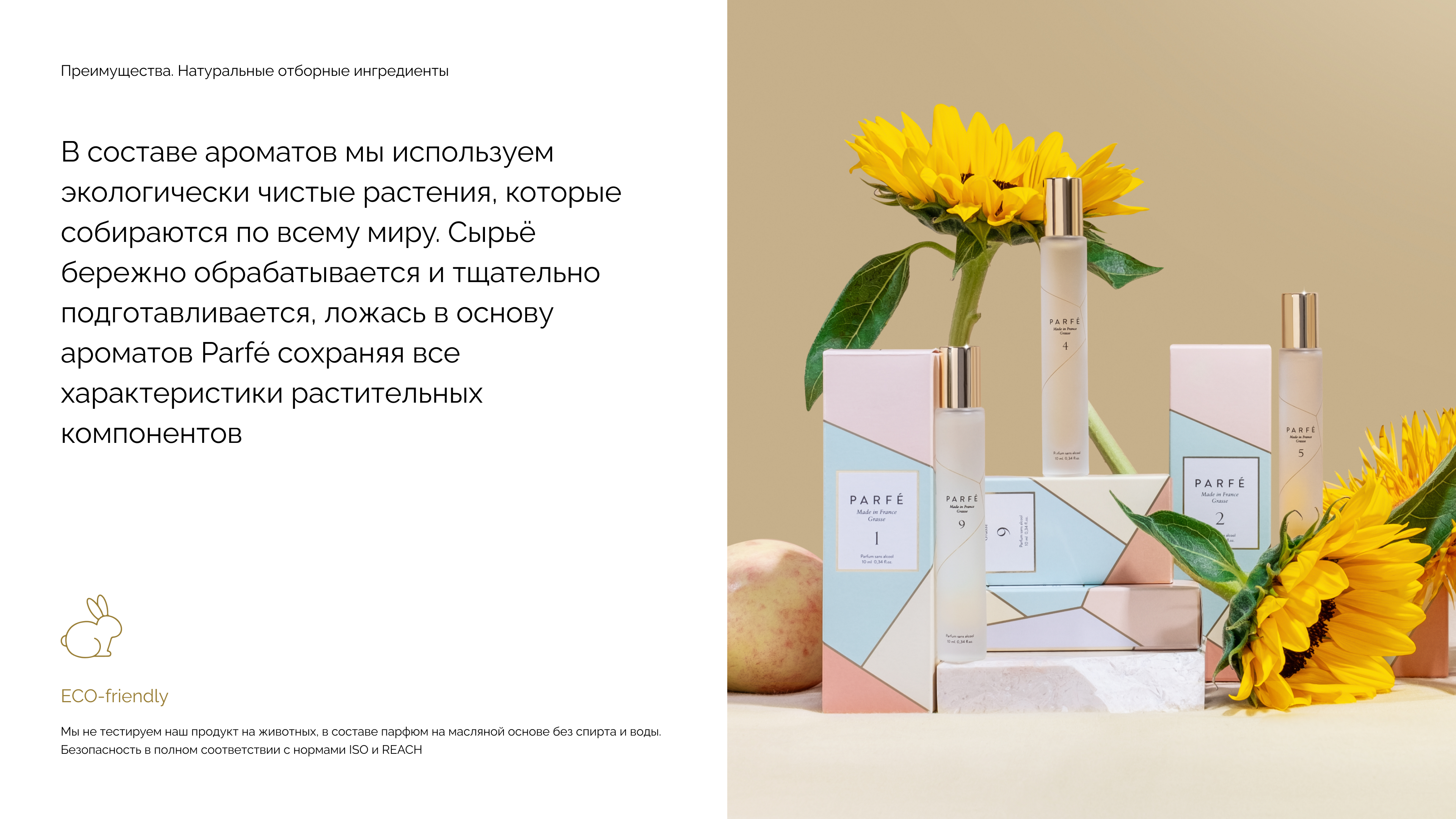Parfe — Изображение №7 — Брендинг, Графика на Dprofile