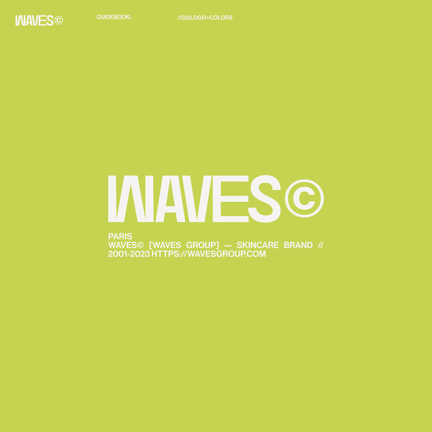WAVES© [海浪] — Изображение №18 — Брендинг, Графика на Dprofile