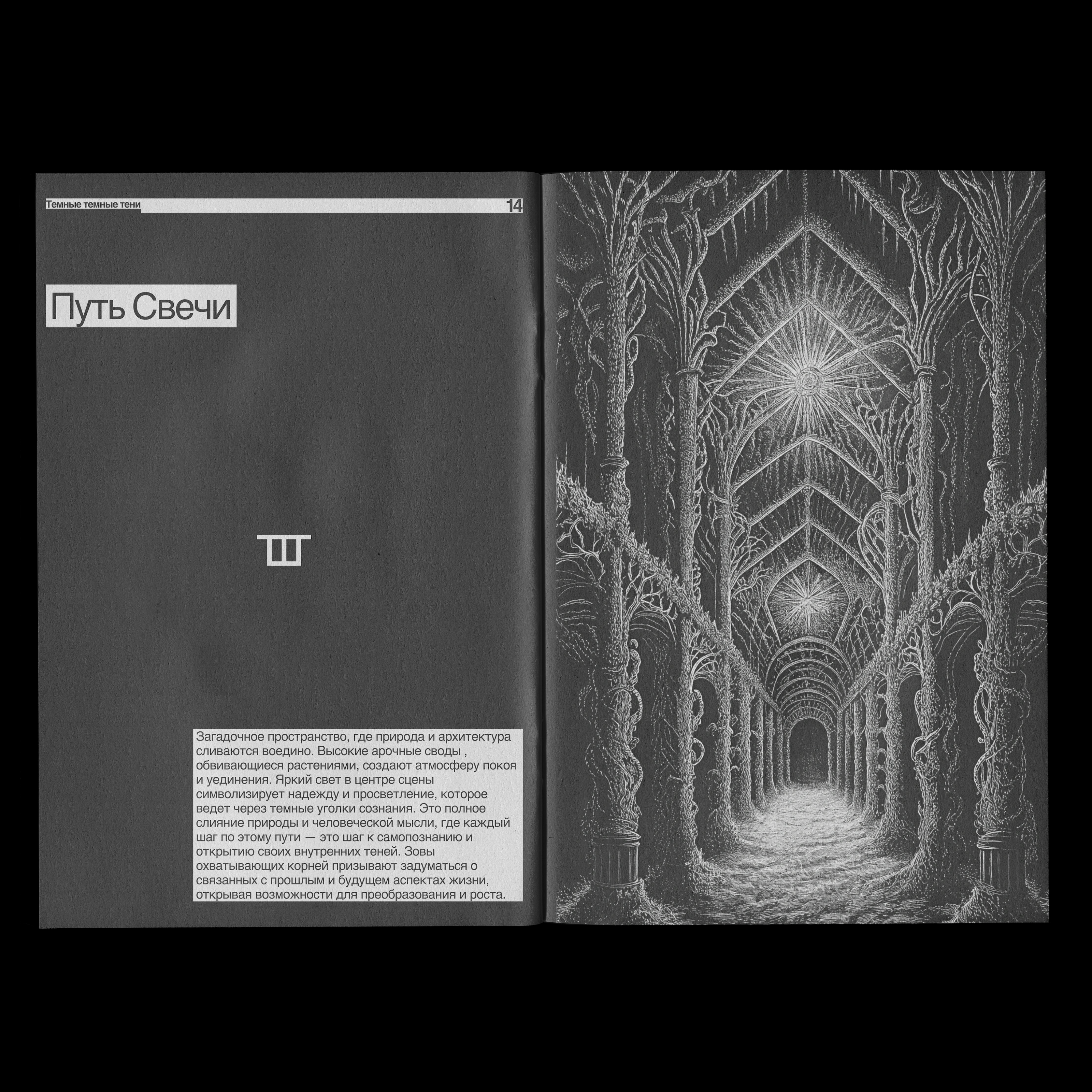 Артбук "Темные темные тени" — Изображение №4 — Иллюстрация, Графика на Dprofile
