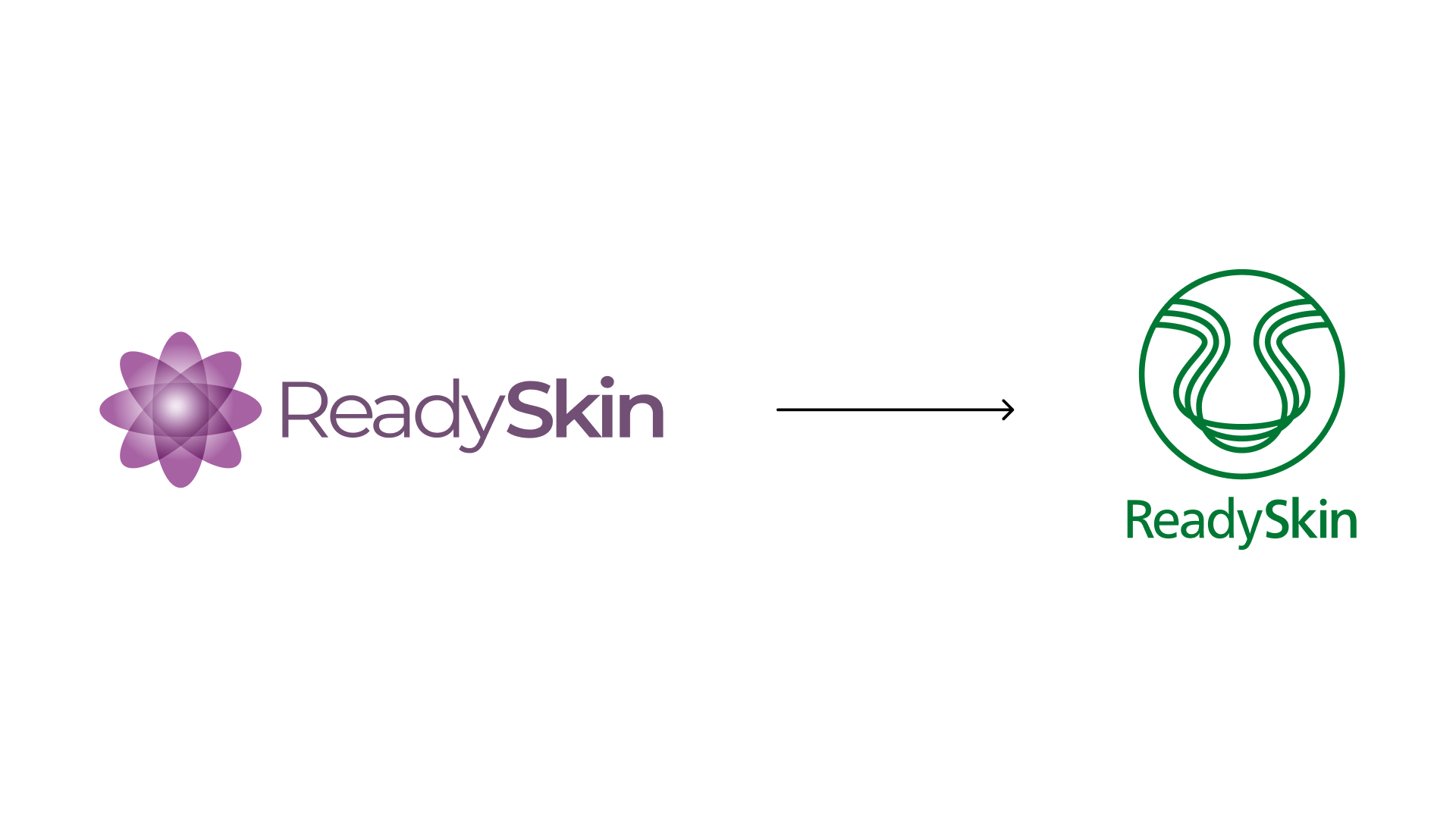 ReadySkin - айдентика — Изображение №3 — Брендинг на Dprofile