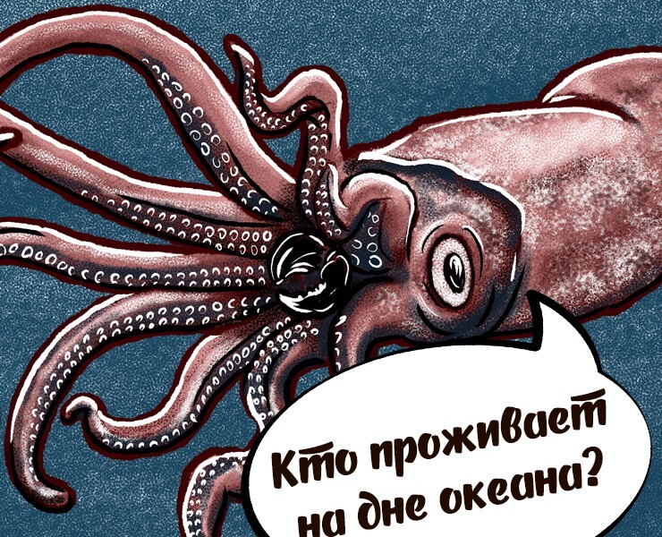 Кто проживает на дне океана? — Иллюстрация на Dprofile