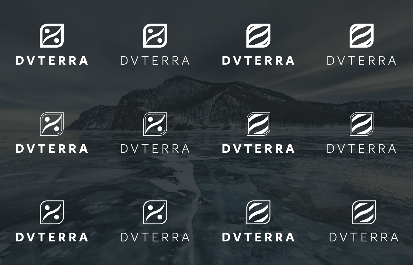 Logo design for seafood processing company "DVTERRA" — Изображение №3 — Брендинг на Dprofile