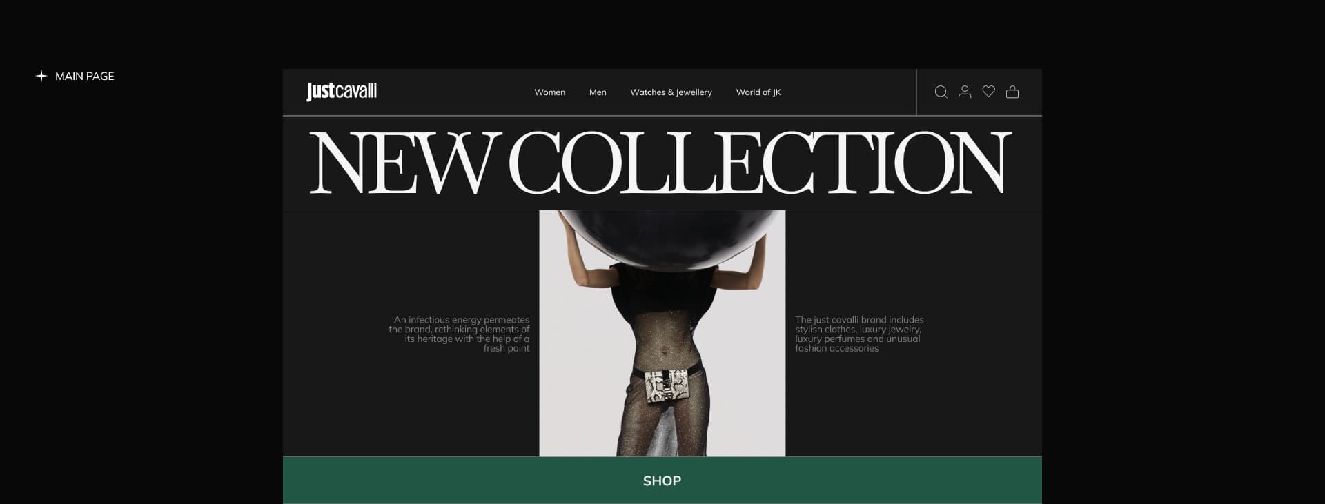 JUST CAVALLI | E-commerce — Изображение №6 — Интерфейсы на Dprofile