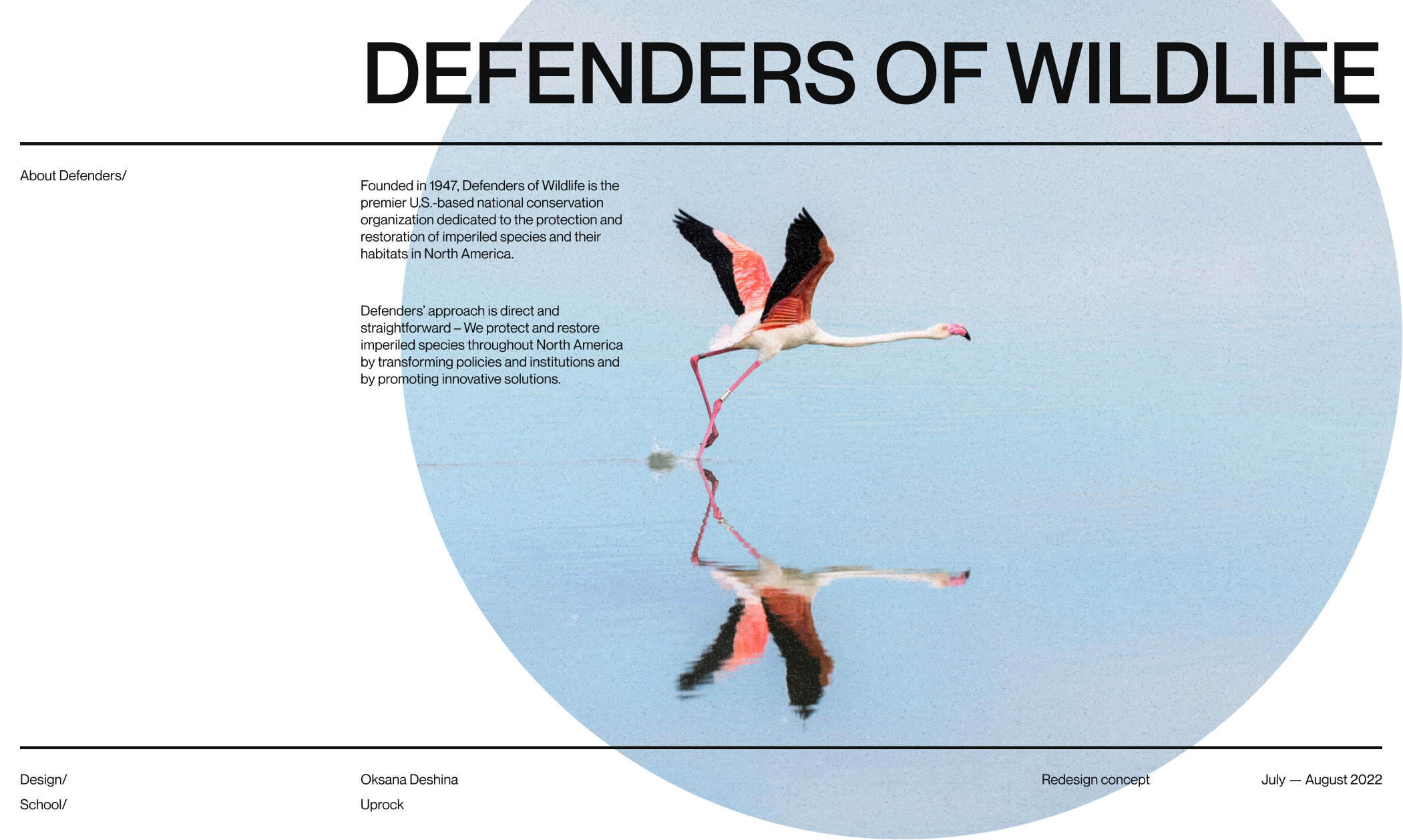 Defenders of Wildlife | corporate redesign — Изображение №1 — Интерфейсы на Dprofile
