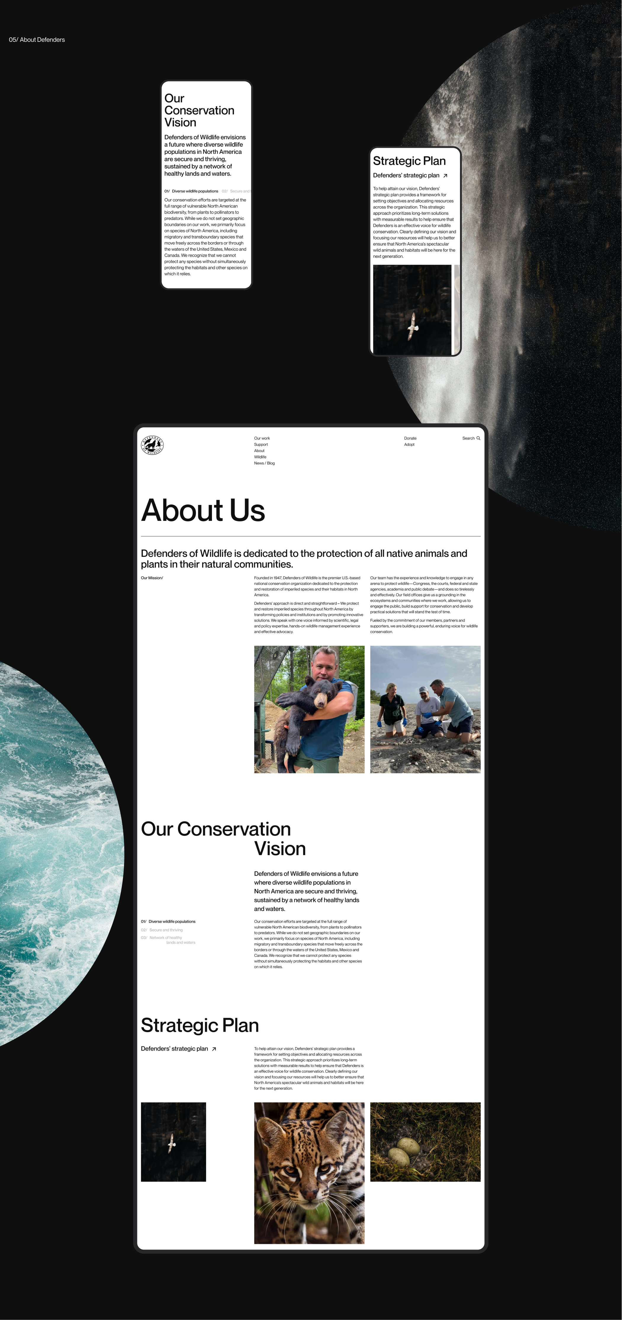 Defenders of Wildlife | corporate redesign — Изображение №8 — Интерфейсы на Dprofile