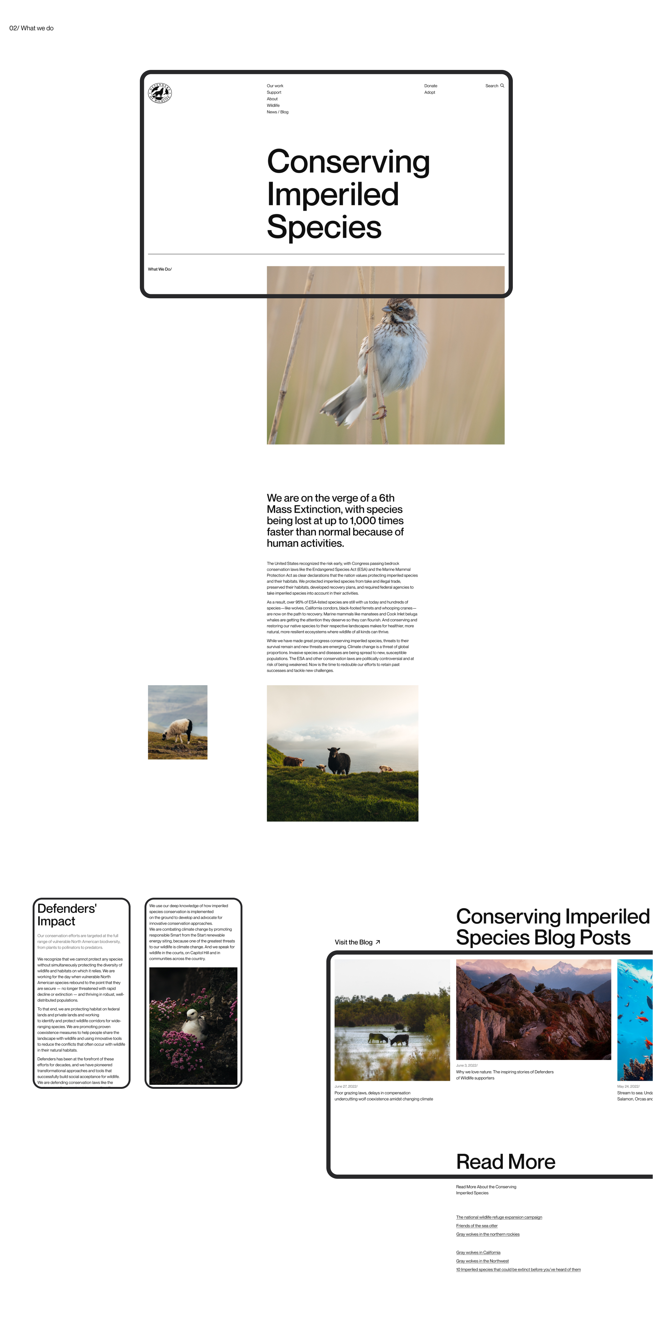 Defenders of Wildlife | corporate redesign — Изображение №5 — Интерфейсы на Dprofile