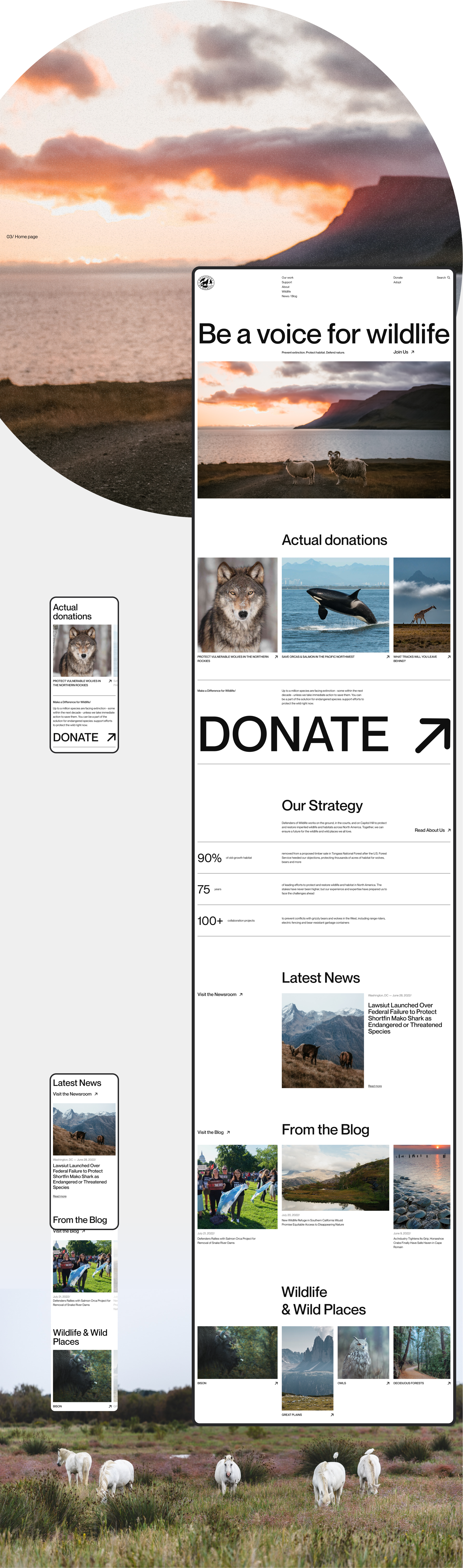Defenders of Wildlife | corporate redesign — Изображение №6 — Интерфейсы на Dprofile