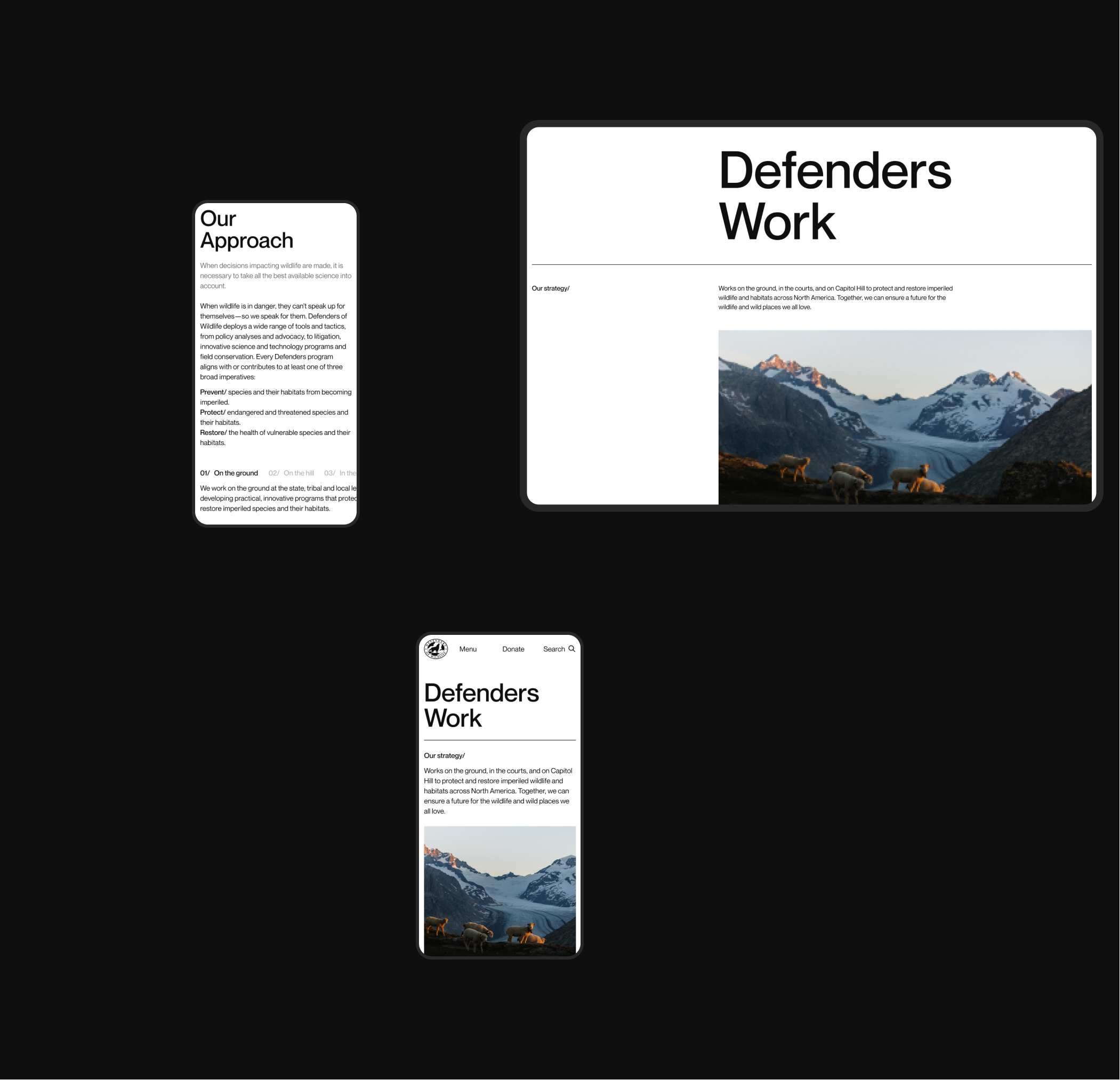 Defenders of Wildlife | corporate redesign — Изображение №2 — Интерфейсы на Dprofile