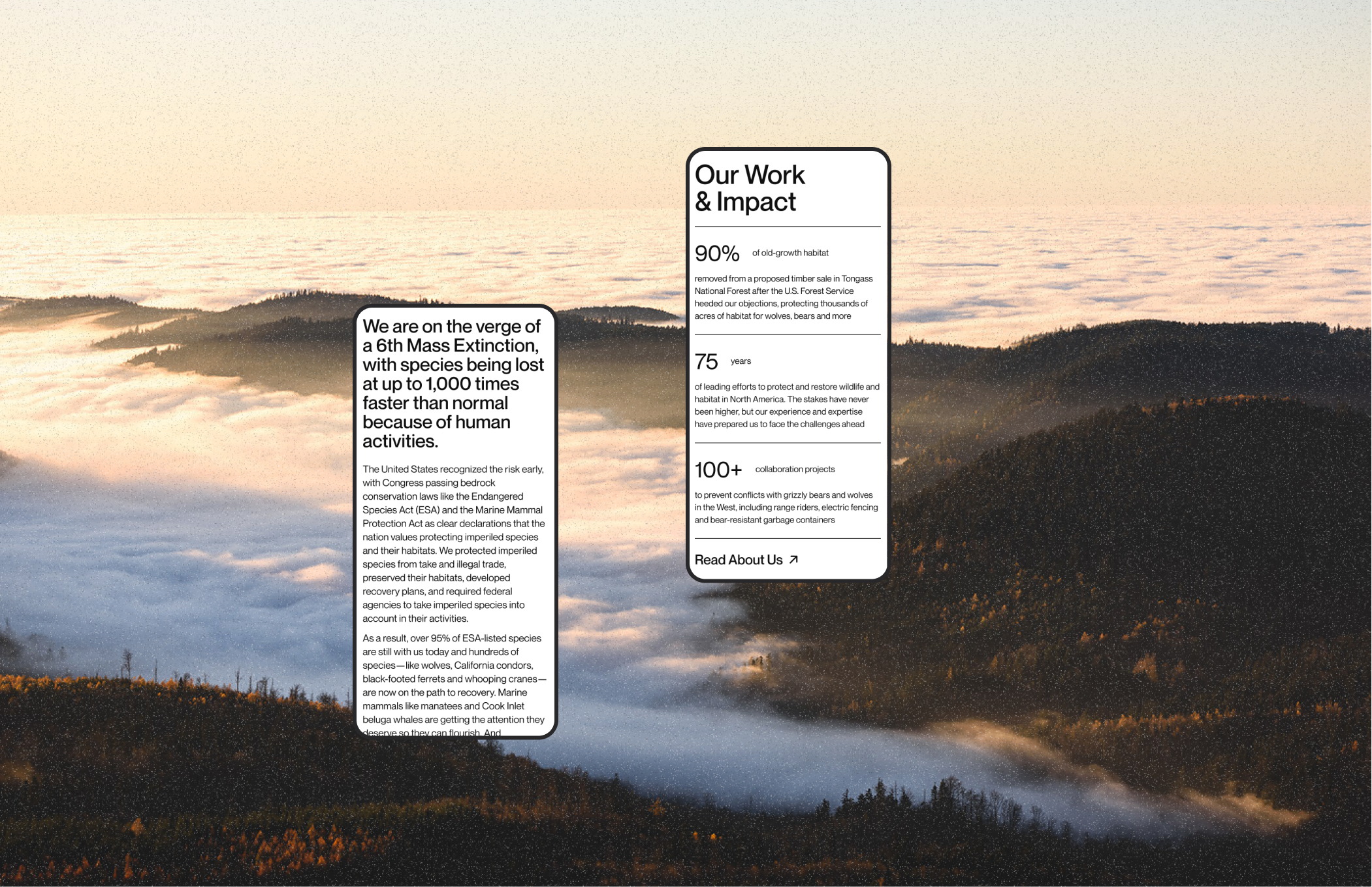Defenders of Wildlife | corporate redesign — Изображение №4 — Интерфейсы на Dprofile