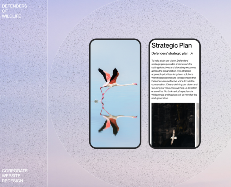 Defenders of Wildlife | corporate redesign — Интерфейсы на Dprofile