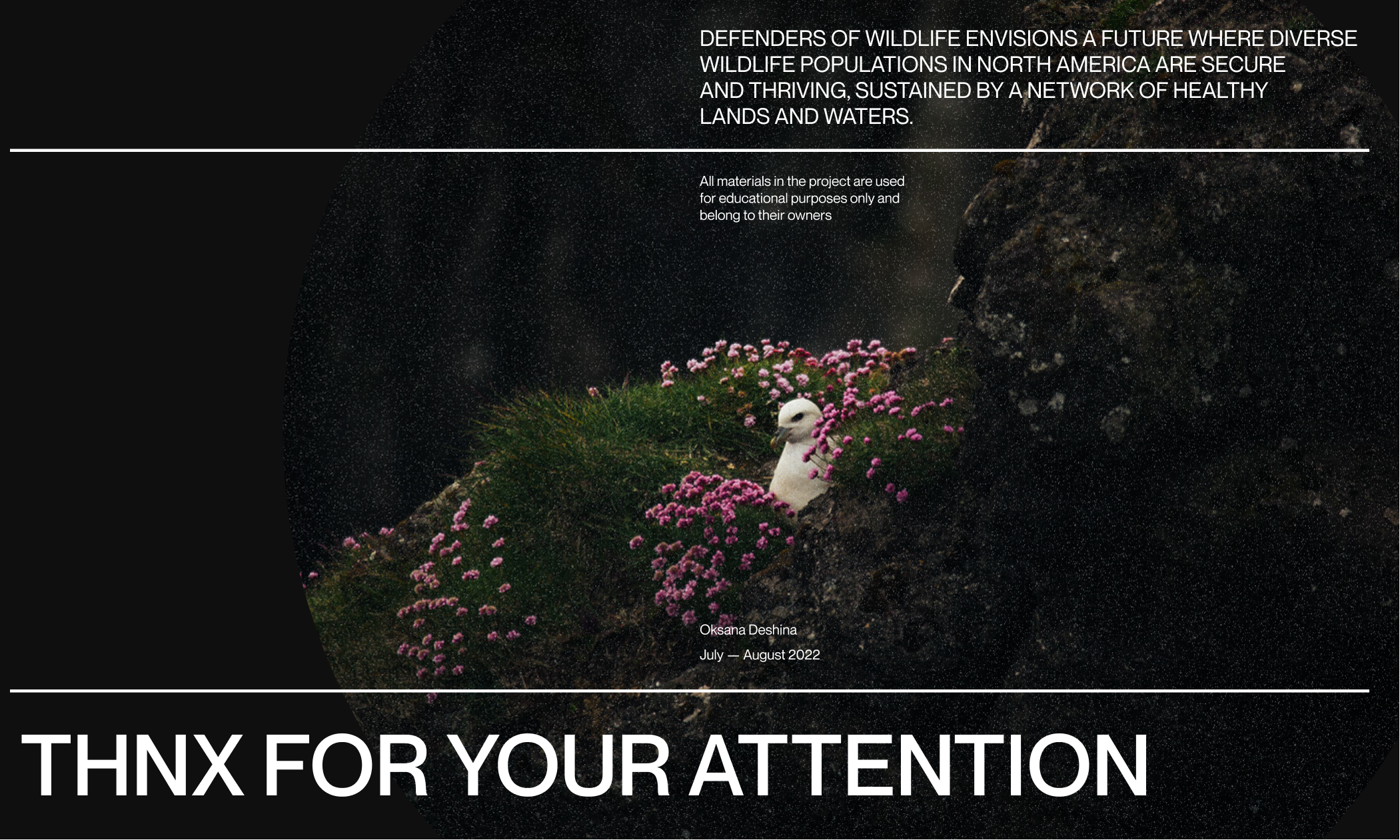 Defenders of Wildlife | corporate redesign — Изображение №11 — Интерфейсы на Dprofile