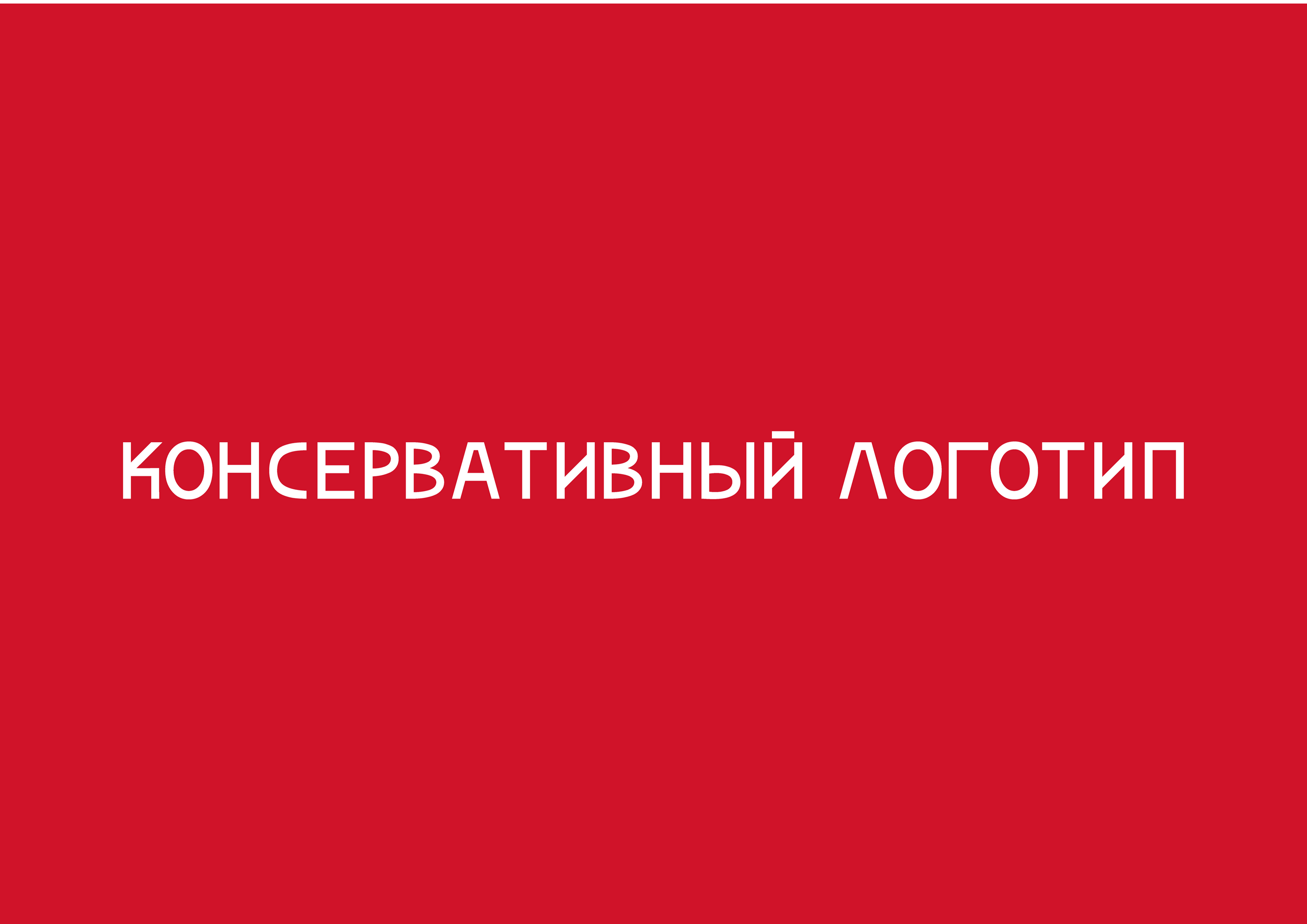 БРЕНДБУК ФИРМЕННОГО СТИЛЯ МЕРОПРИЯТИЯ — Изображение №20 — Брендинг, Графика на Dprofile