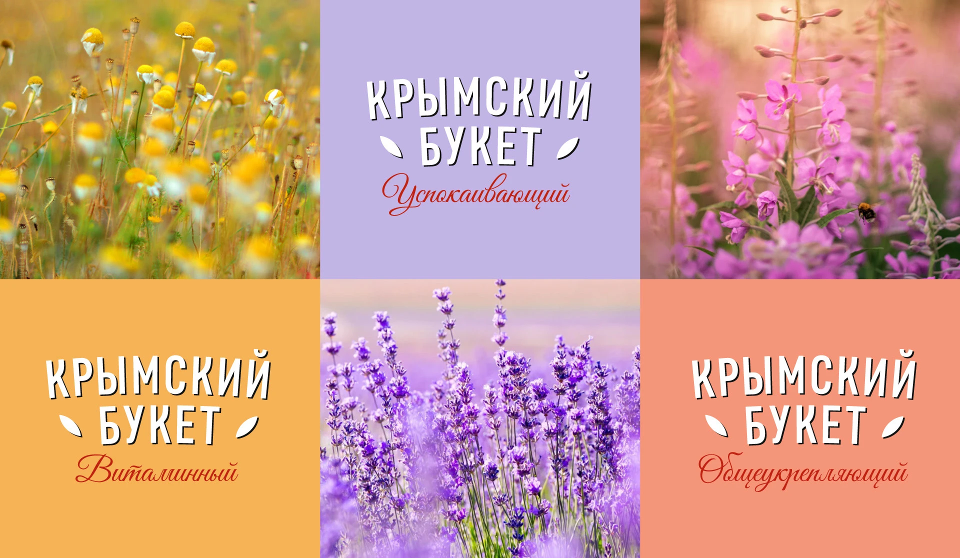Редизайн упаковки ТРАВЯНОЙ КРЫМСКИЙ ЧАЙ дизайн линейки — Изображение №2 — Брендинг, Графика на Dprofile
