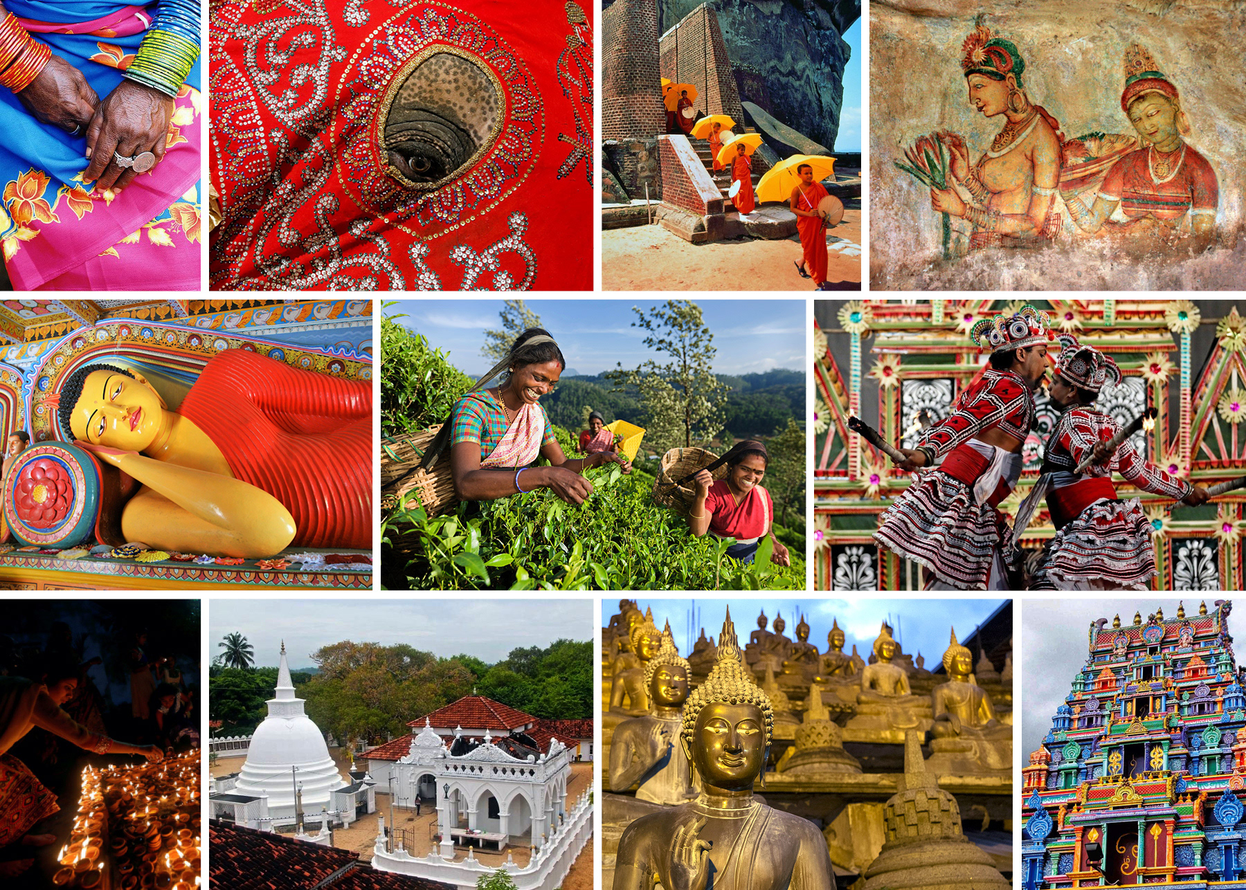 Чай SebaSTea «Regions of Ceylon» — Изображение №2 — Брендинг, Графика на Dprofile