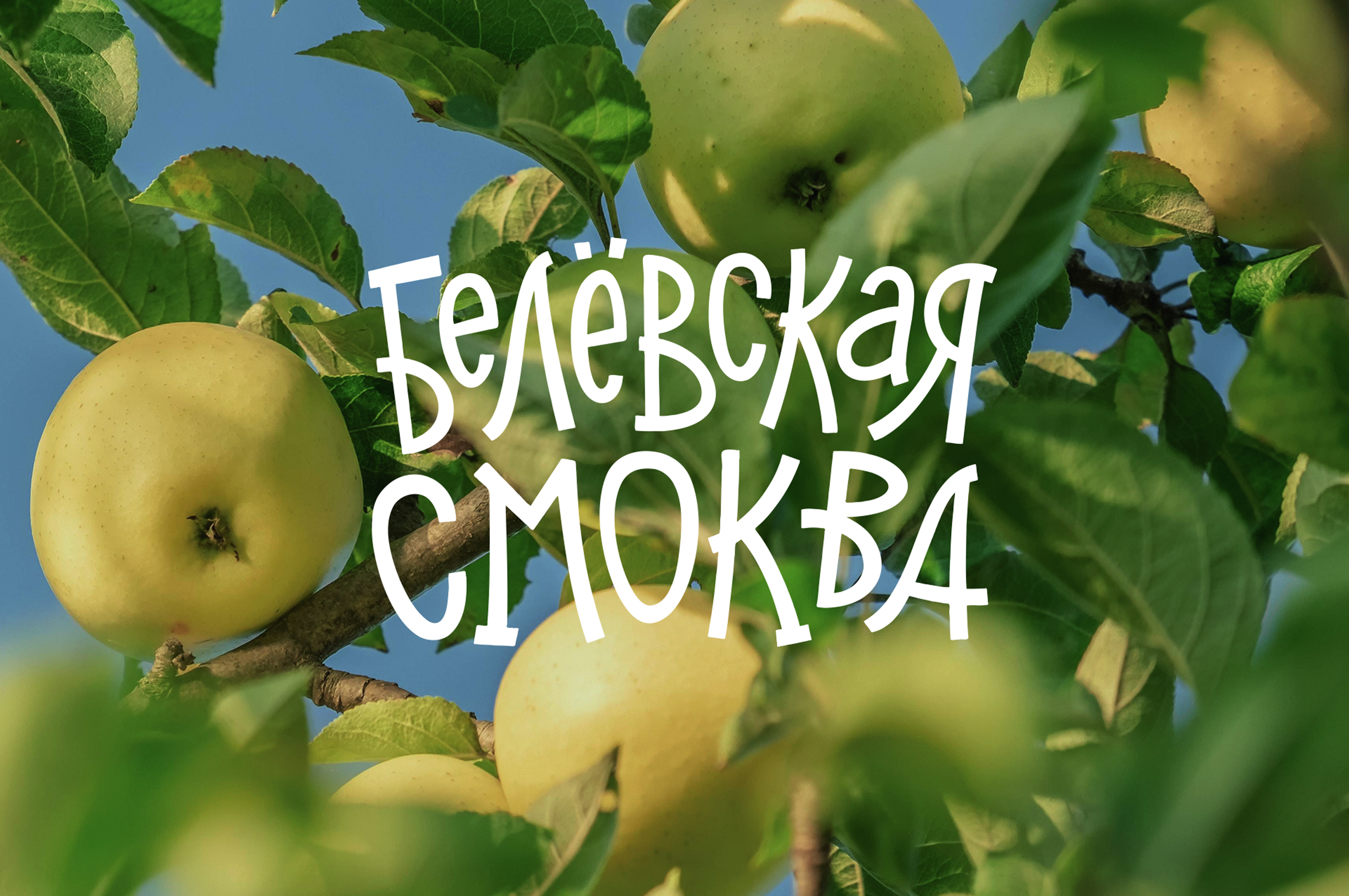 Healthy snacks | Brand Identity and Packaging Design — Изображение №4 — Брендинг, Графика на Dprofile