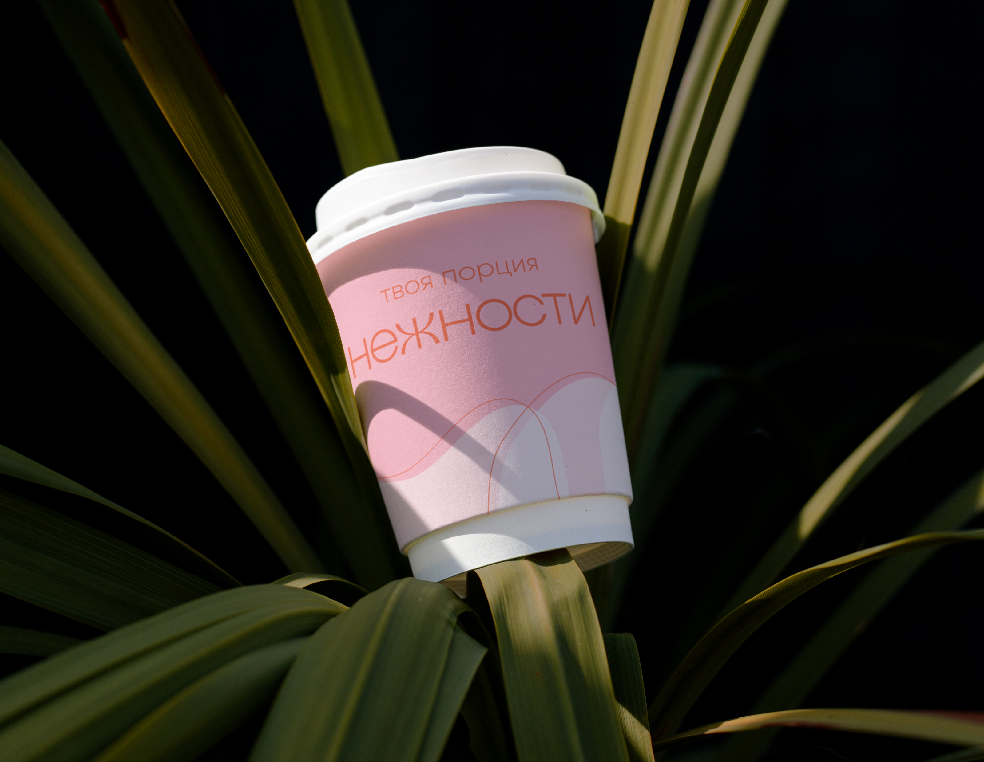 «Нежность» brand identity — Изображение №12 — Брендинг на Dprofile