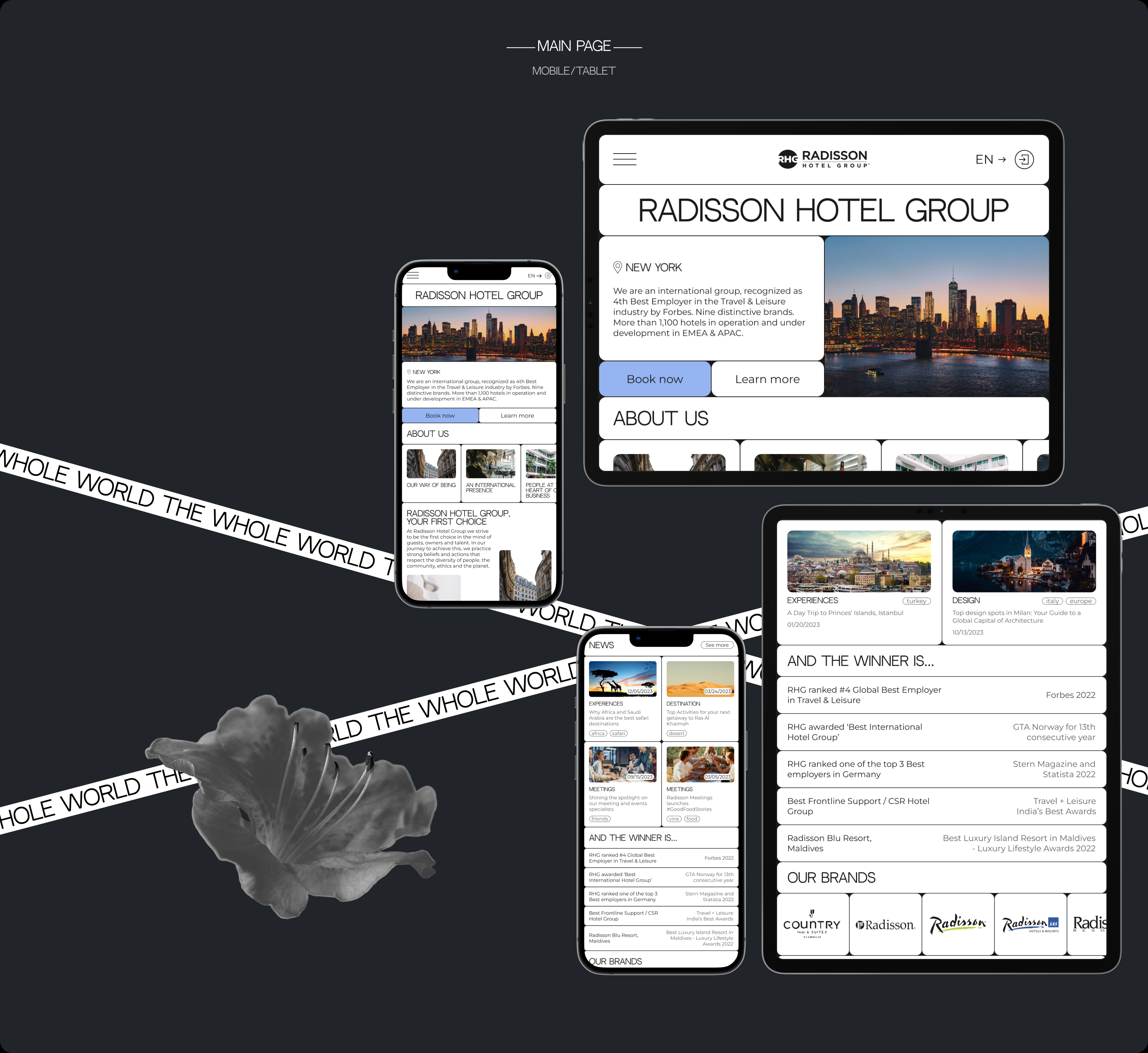 Redesign Concept / Radisson Hotel Group — Изображение №3 — Интерфейсы, Брендинг на Dprofile