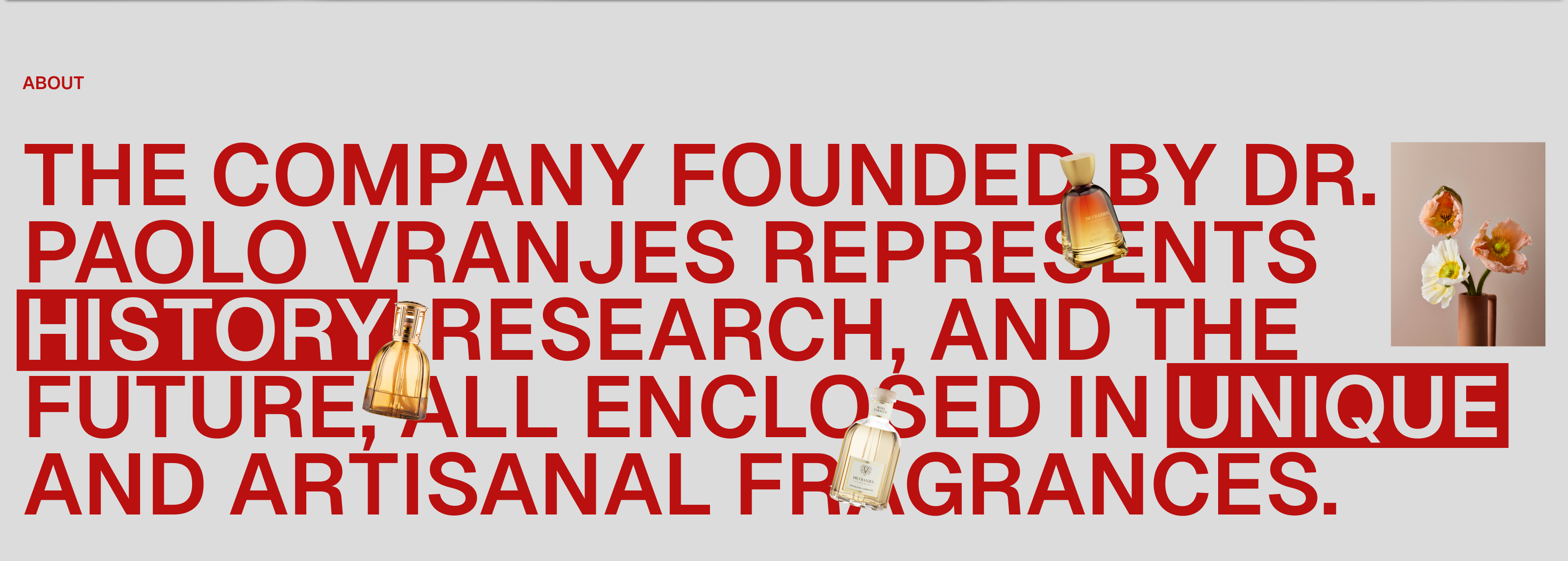 Redesign Concept / Dr. Vranjes Firenze — Изображение №2 — Интерфейсы, Графика на Dprofile