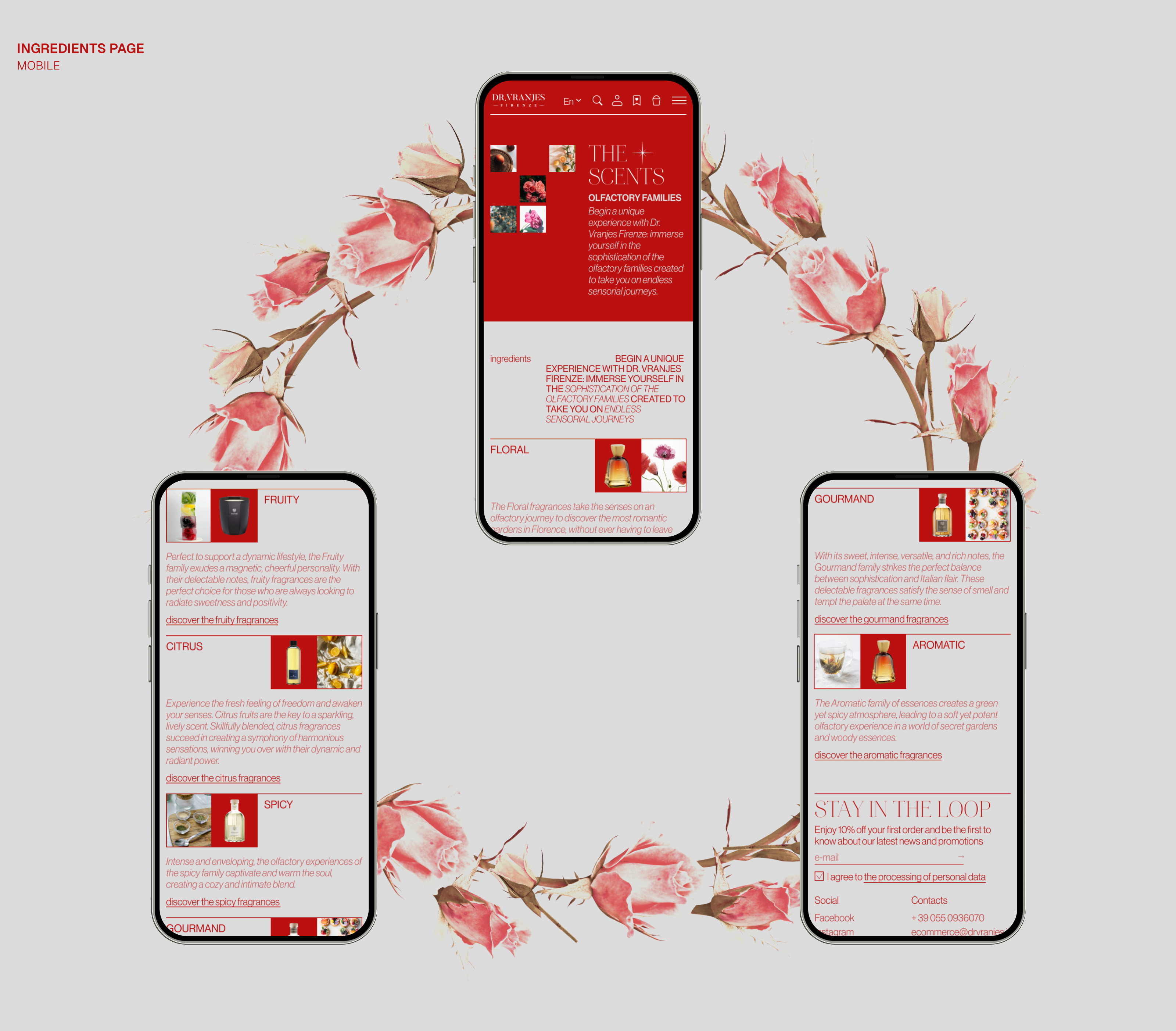 Redesign Concept / Dr. Vranjes Firenze — Изображение №8 — Интерфейсы, Графика на Dprofile