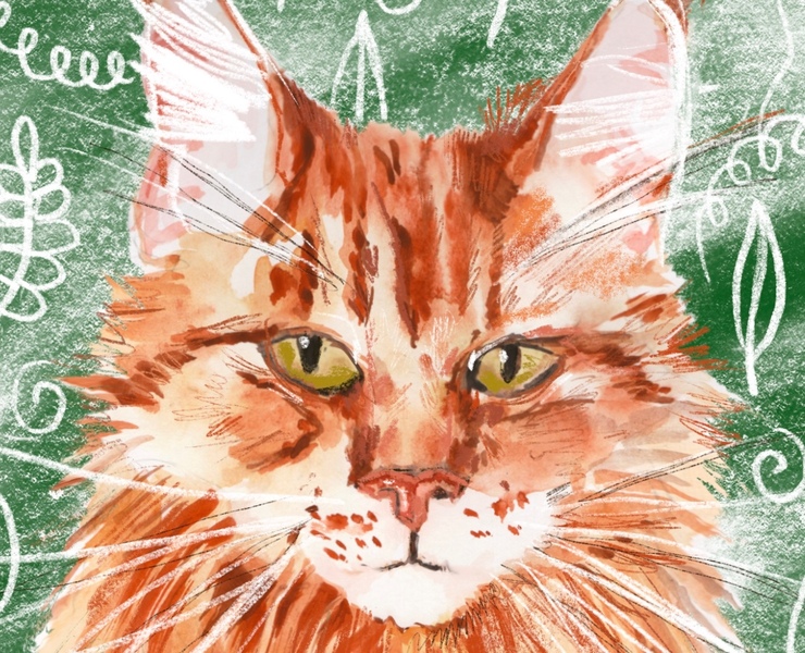 Иллюстрации котов. — Иллюстрация на Dprofile