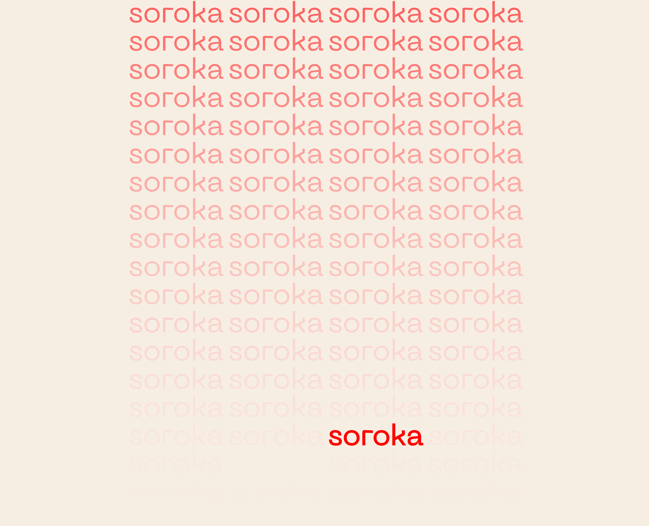 soroka [logo/mockups] — Брендинг на Dprofile