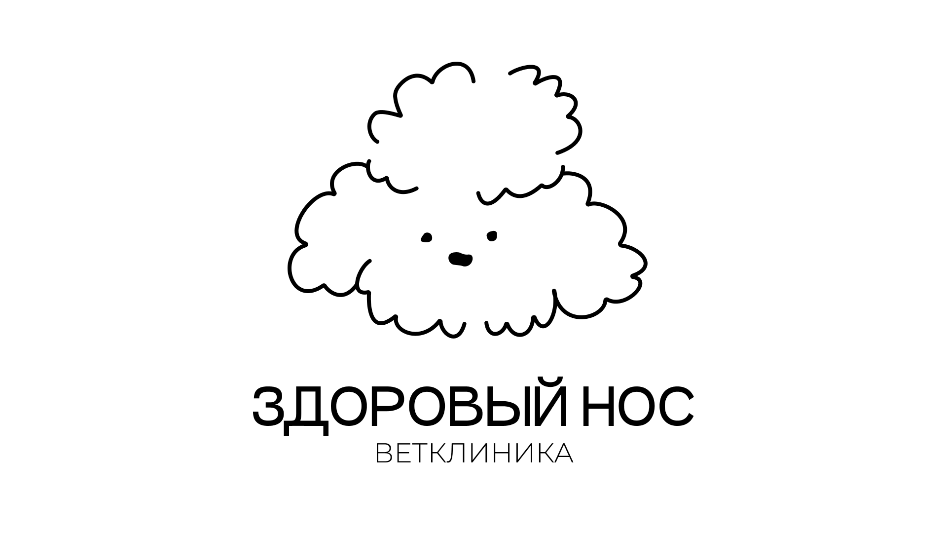 Ветклиника "Здоровый нос" — Изображение №1 — Брендинг на Dprofile
