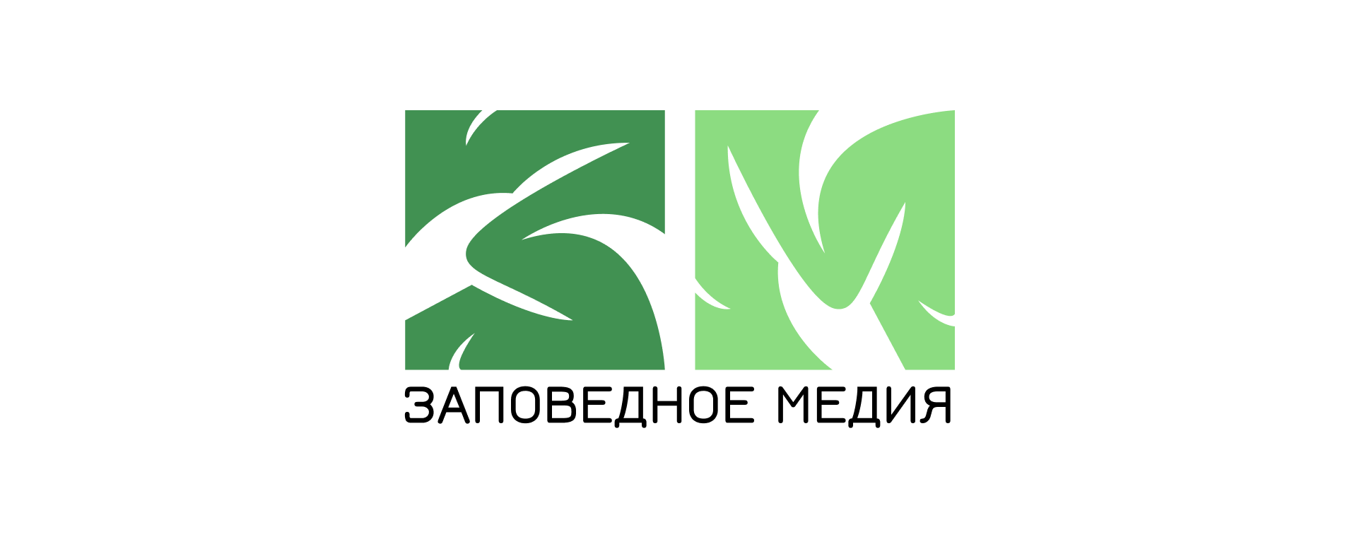 Фирменный стиль для платформы Заповедное Медиа — Изображение №2 — Брендинг на Dprofile