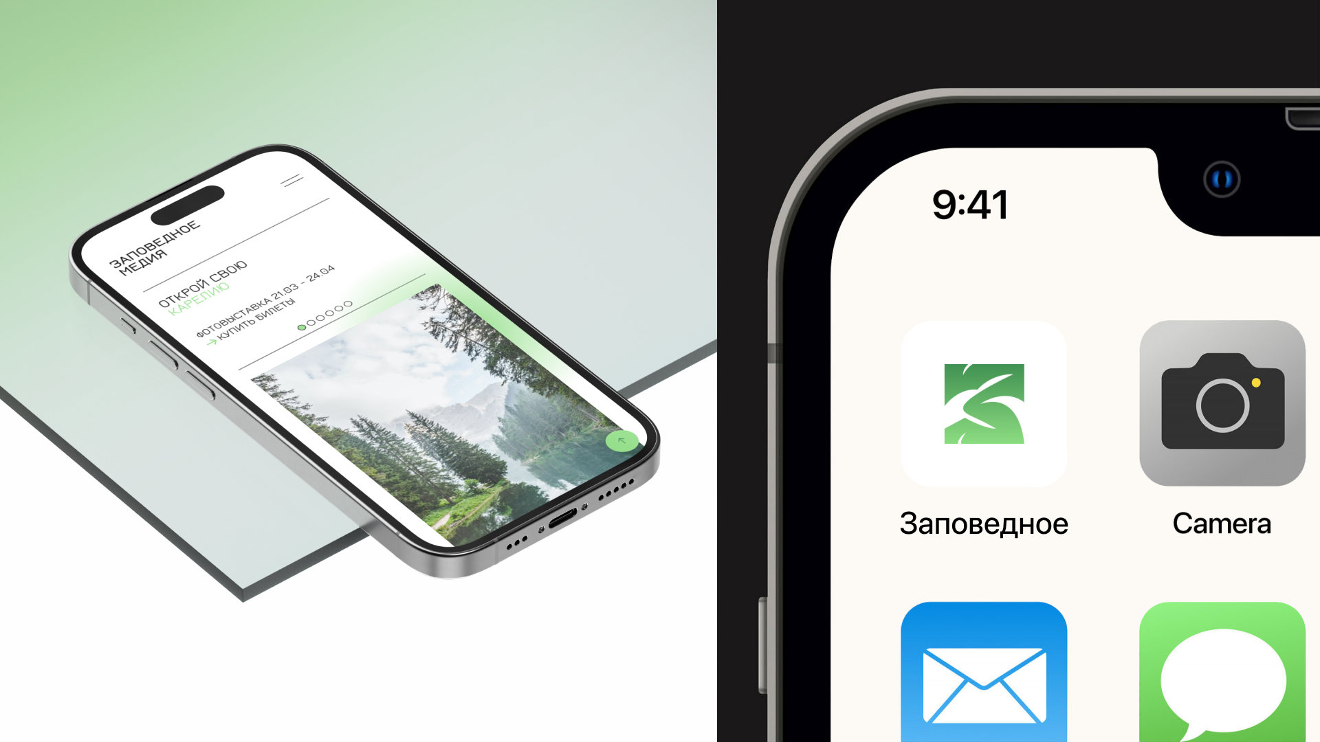 Фирменный стиль для платформы Заповедное Медиа — Изображение №8 — Брендинг на Dprofile