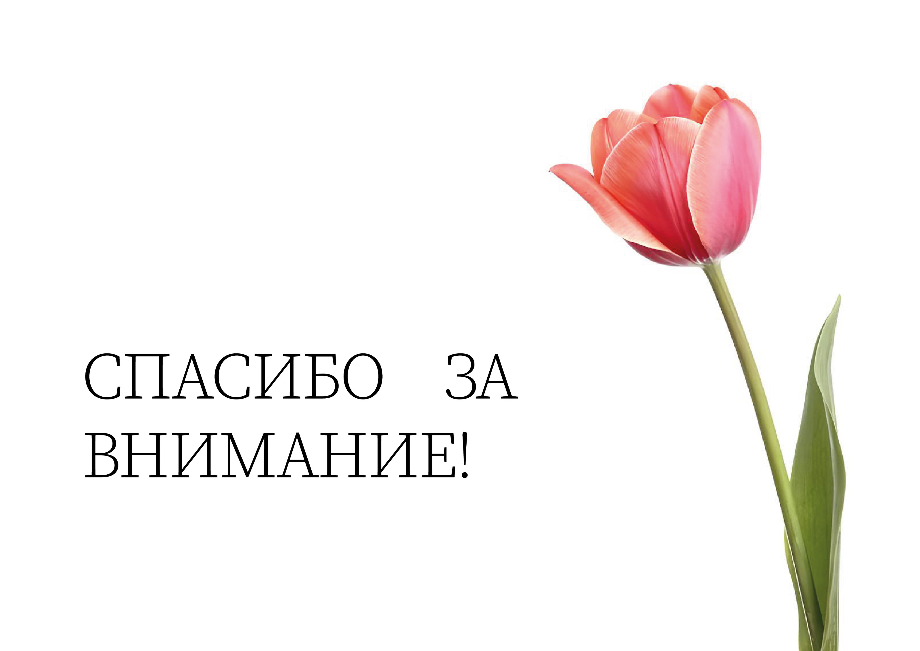 ТЮЛЬПАН. Сеть магазинов штор — Изображение №6 — Брендинг, Графика на Dprofile