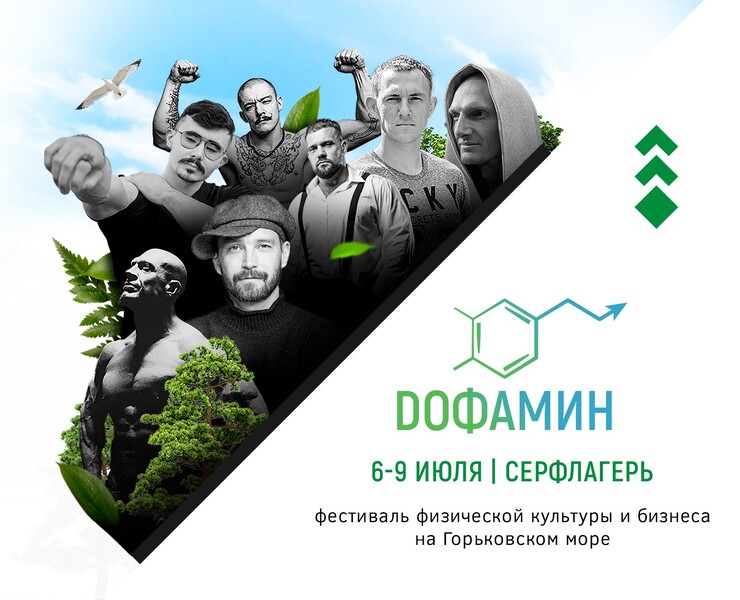 Айдентика Фестиваль Дофамин — Брендинг, Маркетинг на Dprofile