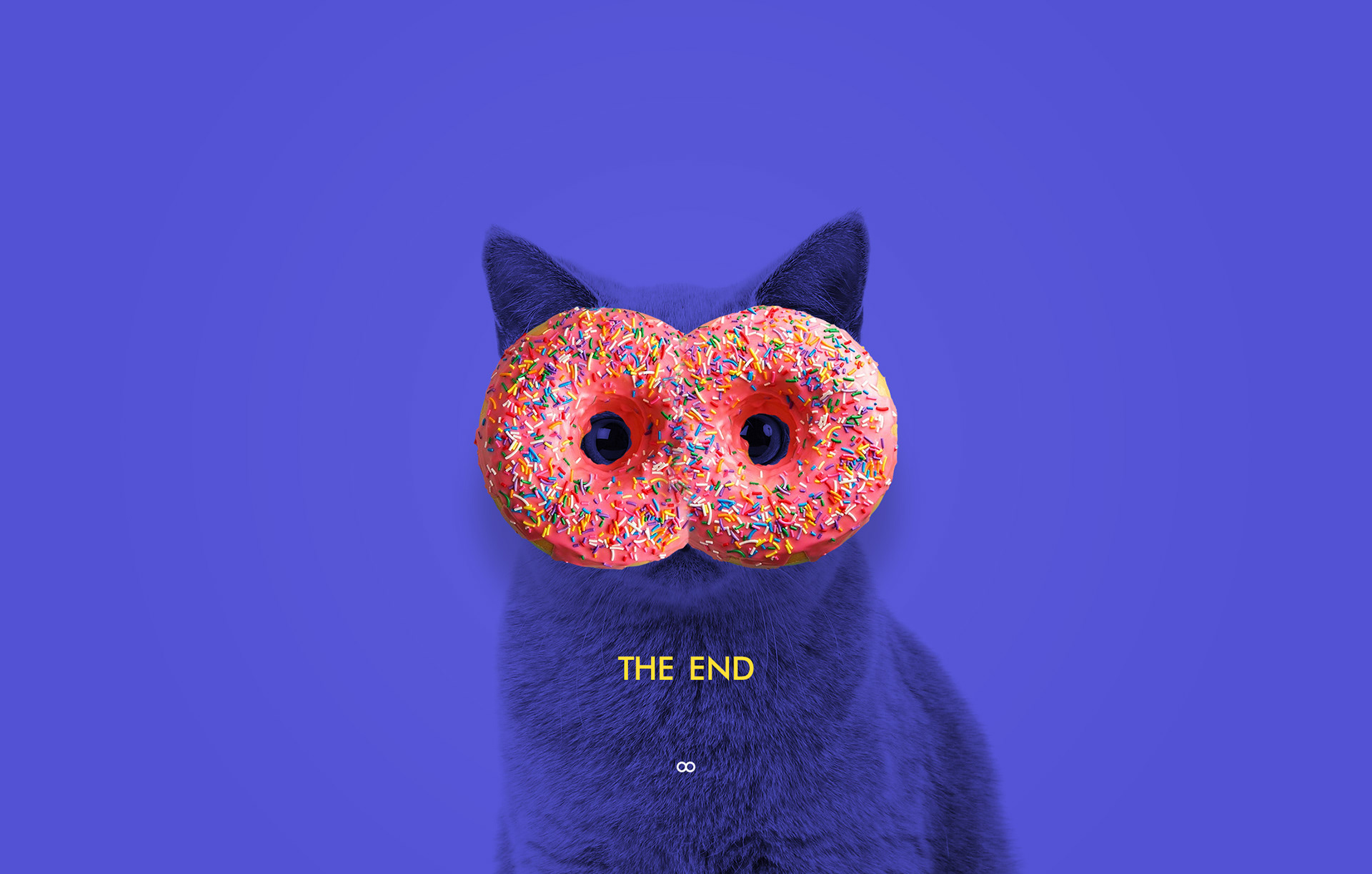 wooka — Изображение №12 — Брендинг, Интерфейсы на Dprofile