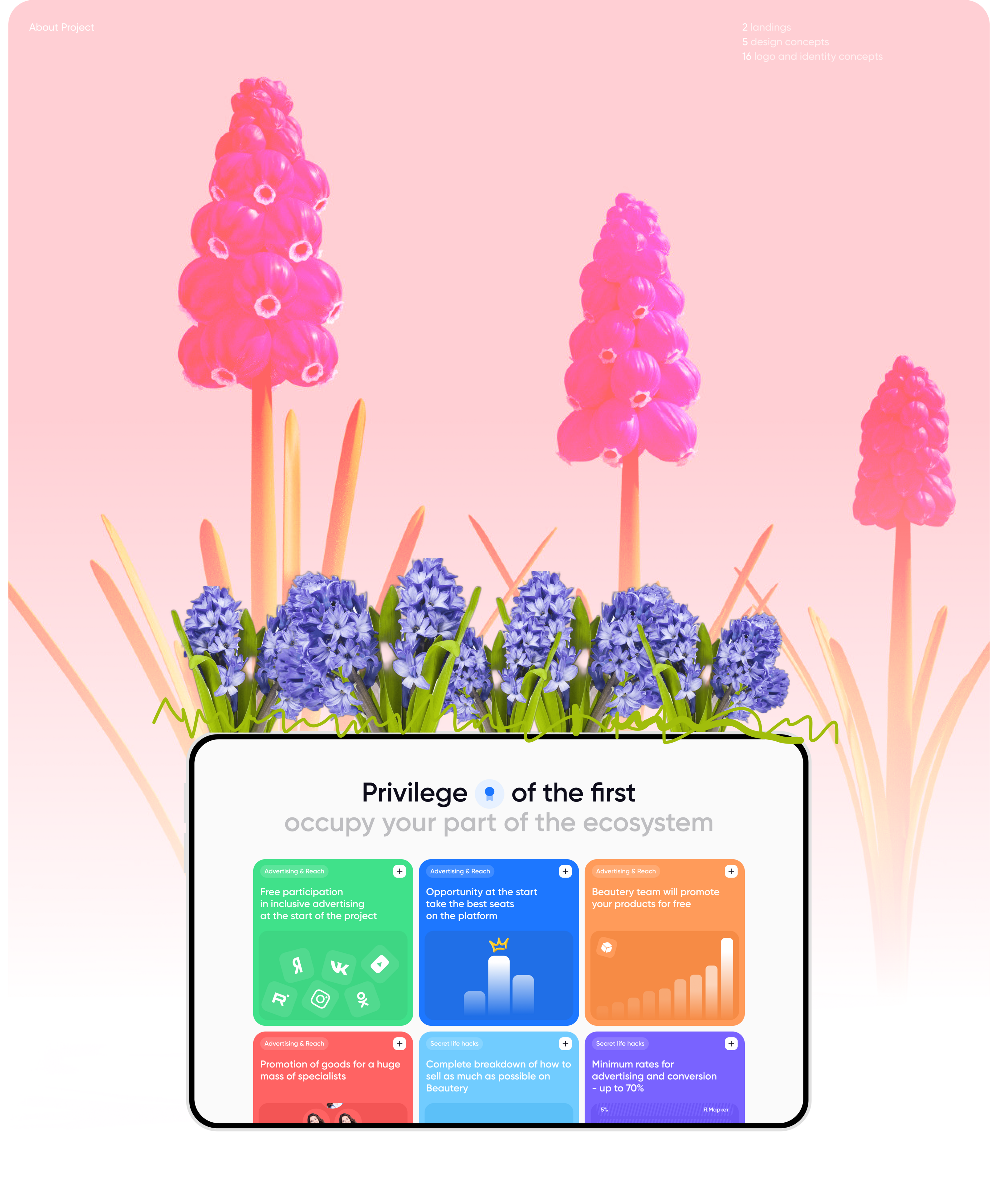 Beautery - beauty marketplace: UI/UX, UI, logo, web — Изображение №17 — Интерфейсы, Брендинг на Dprofile