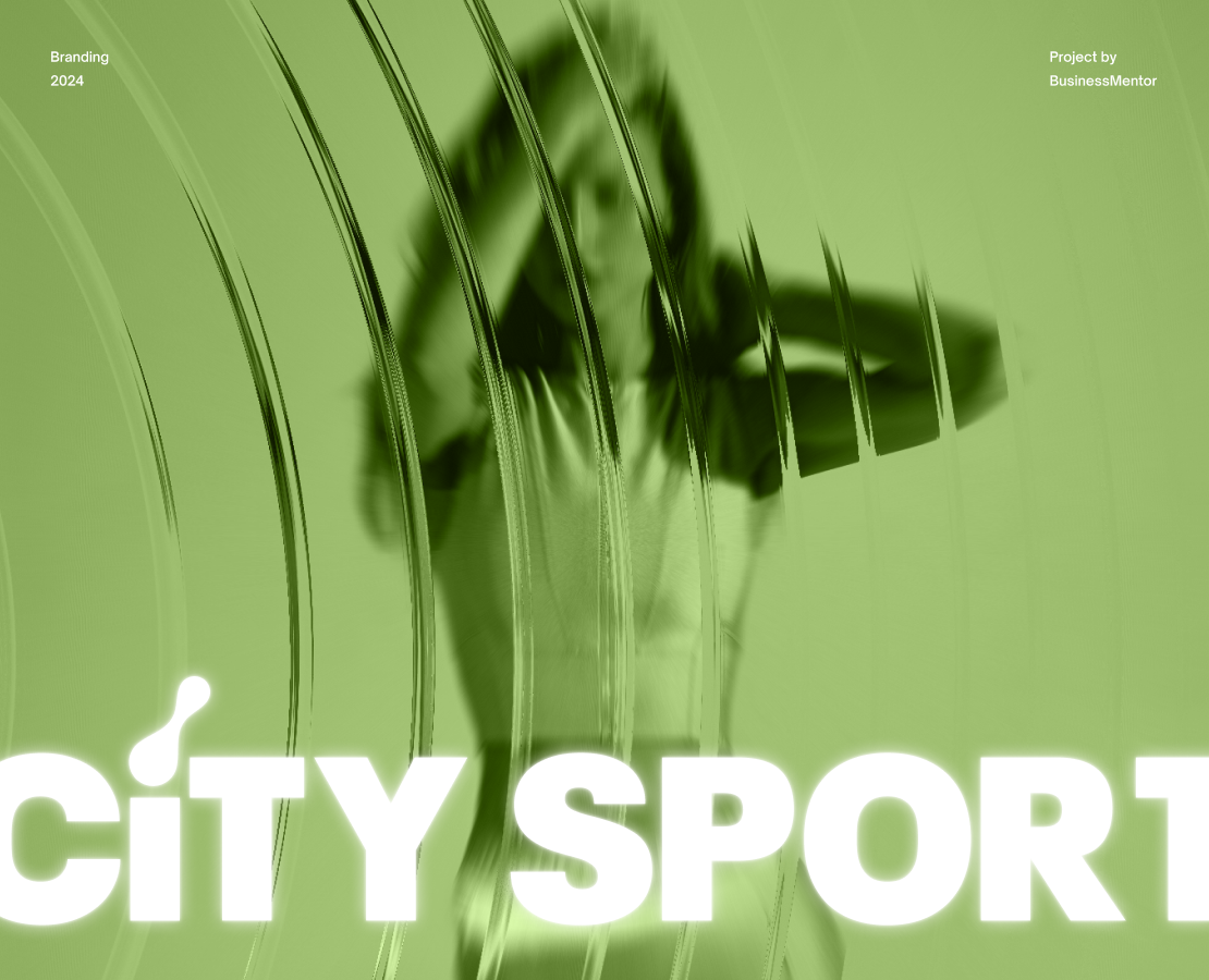 Brandbook of the sports complex 2024: logo, branding на Dprofile