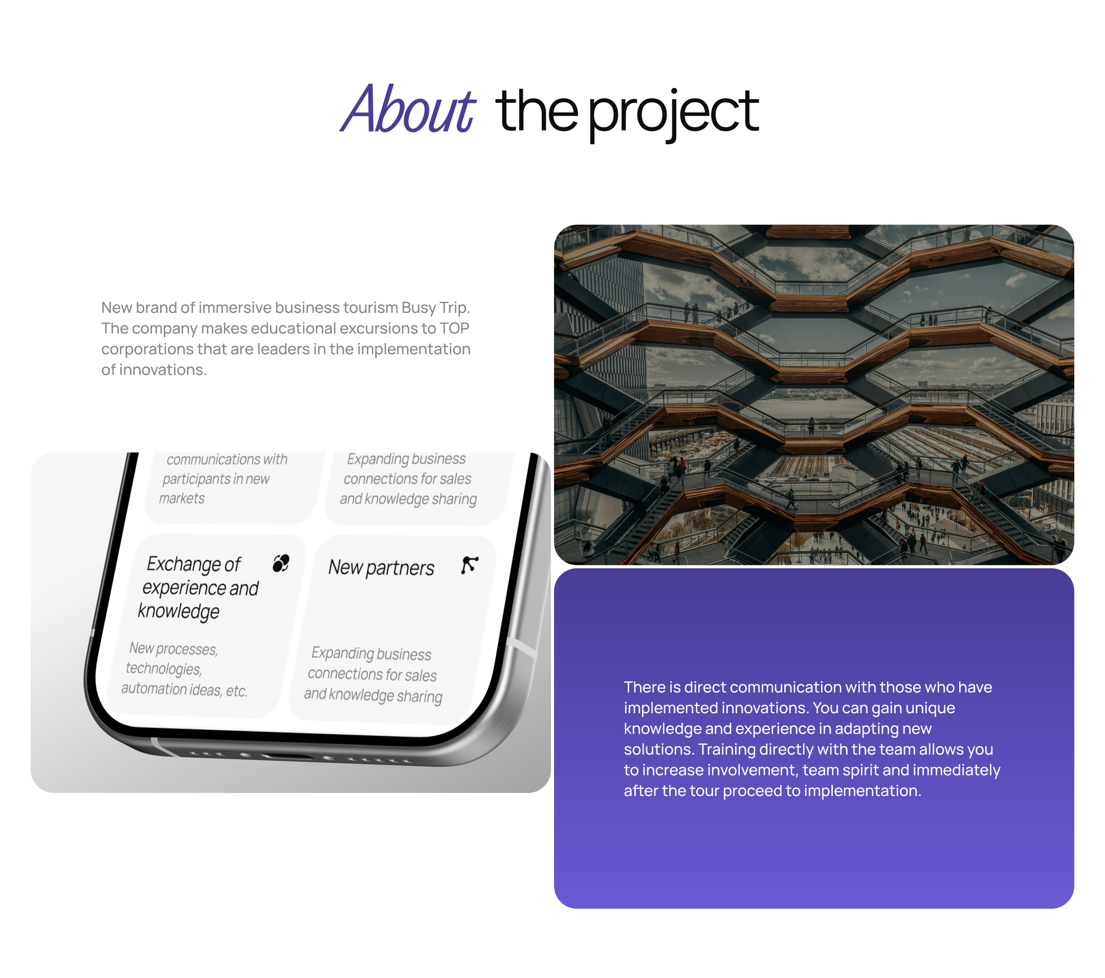 BuziTrip, Business travel: UIUX, logo, UI — Изображение №2 — Интерфейсы на Dprofile