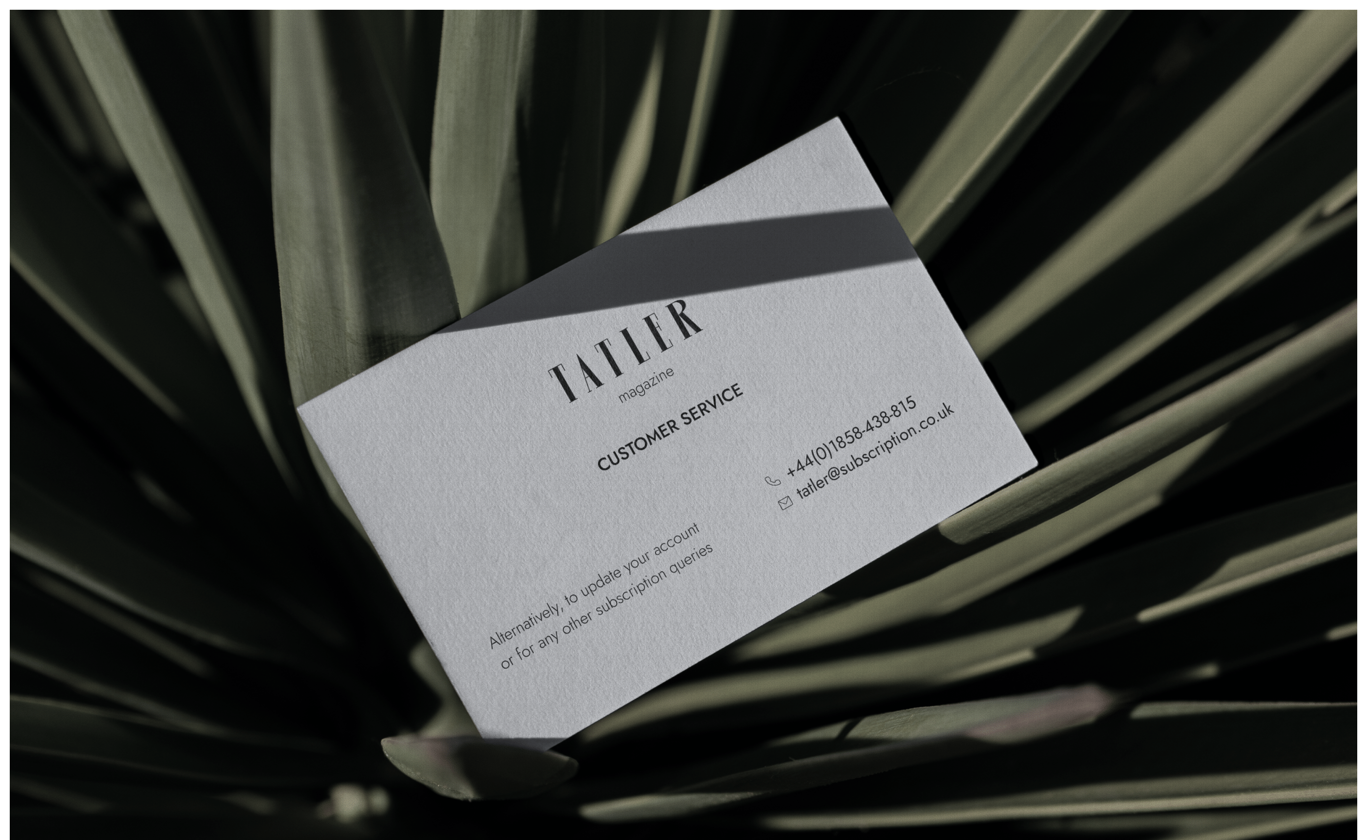 TATLER MAGAZINE | News Site Redesign — Изображение №2 — Интерфейсы на Dprofile