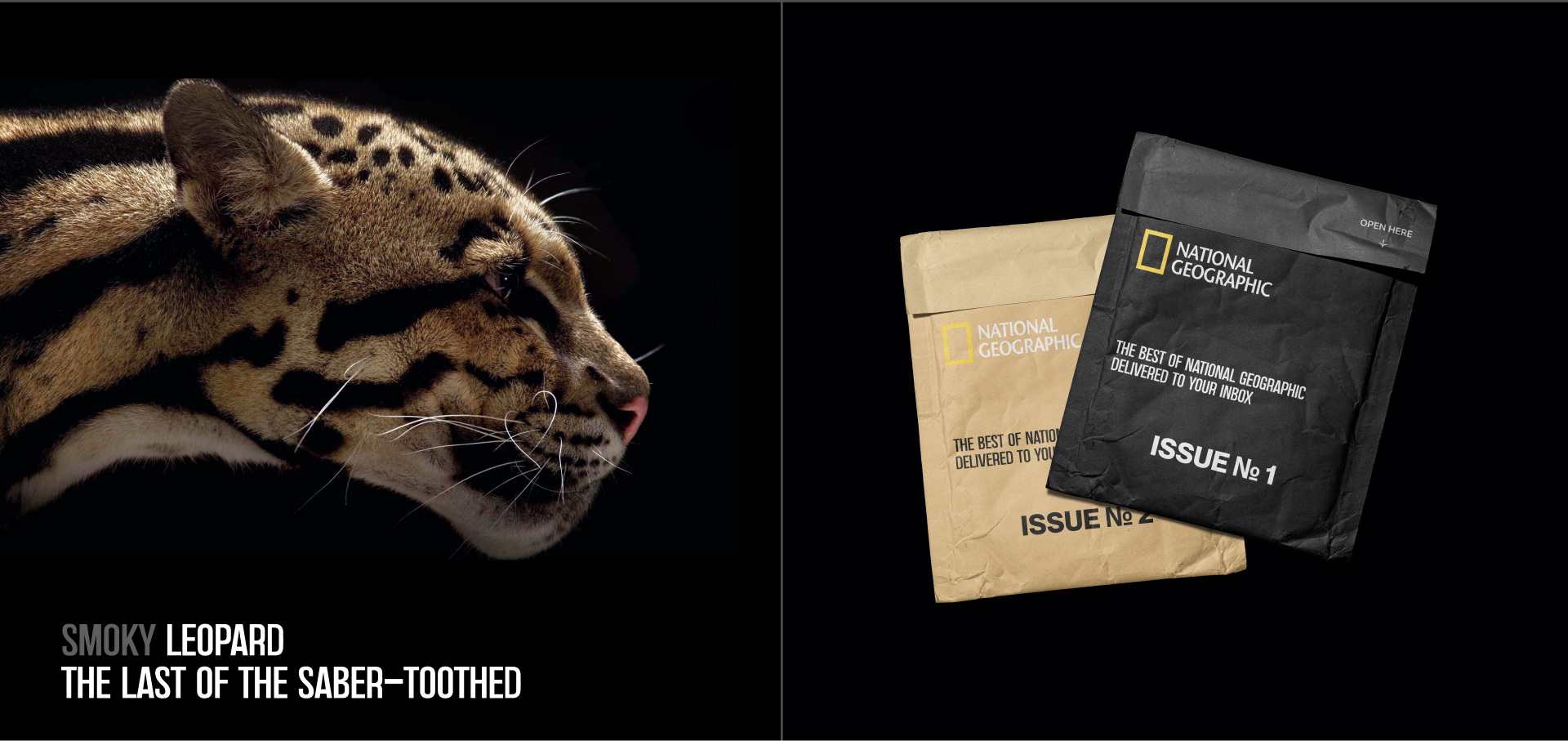 National Geographic | Corporate redesign — Изображение №8 — Интерфейсы, Брендинг на Dprofile