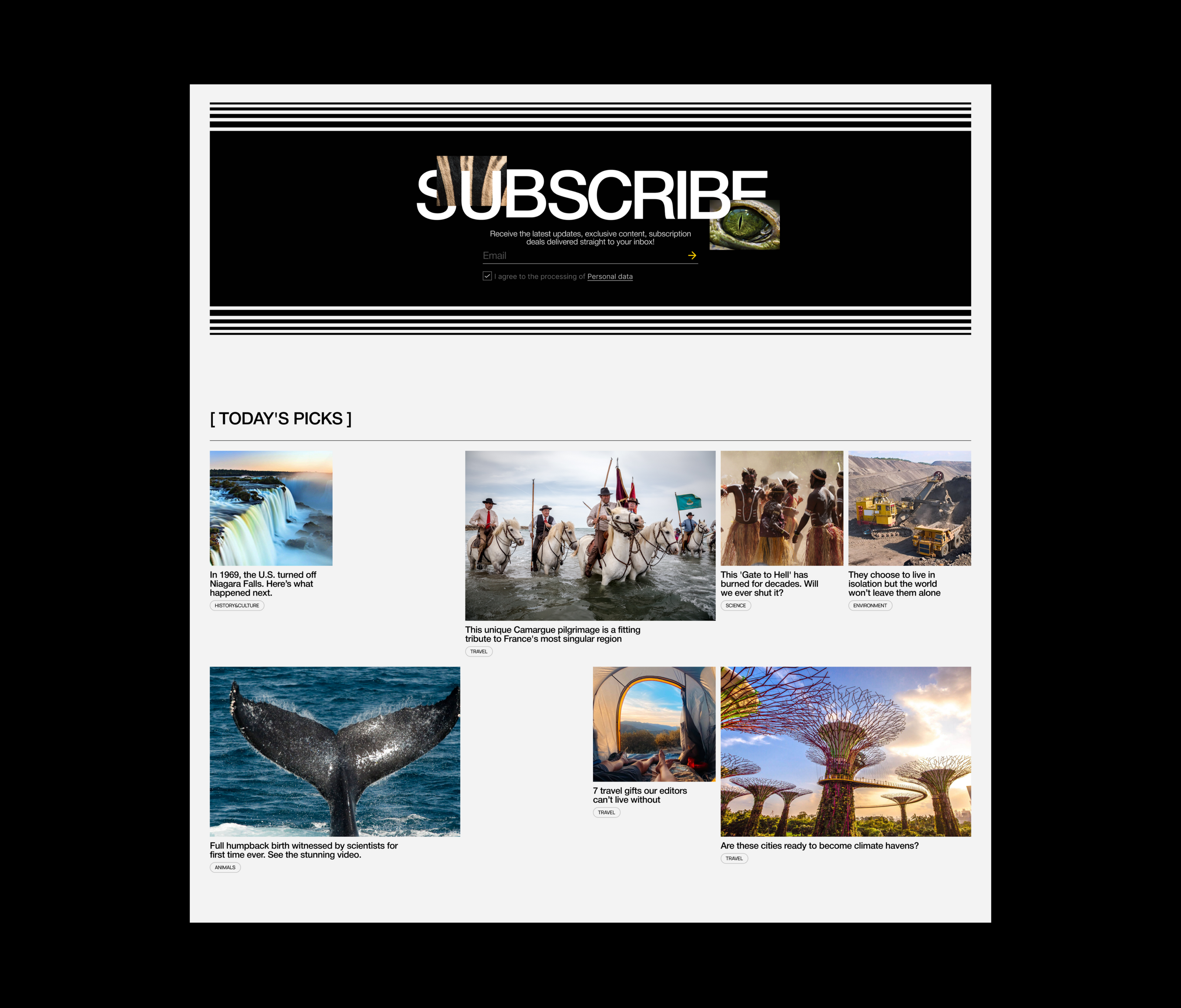 National Geographic | Corporate redesign — Изображение №5 — Интерфейсы, Брендинг на Dprofile