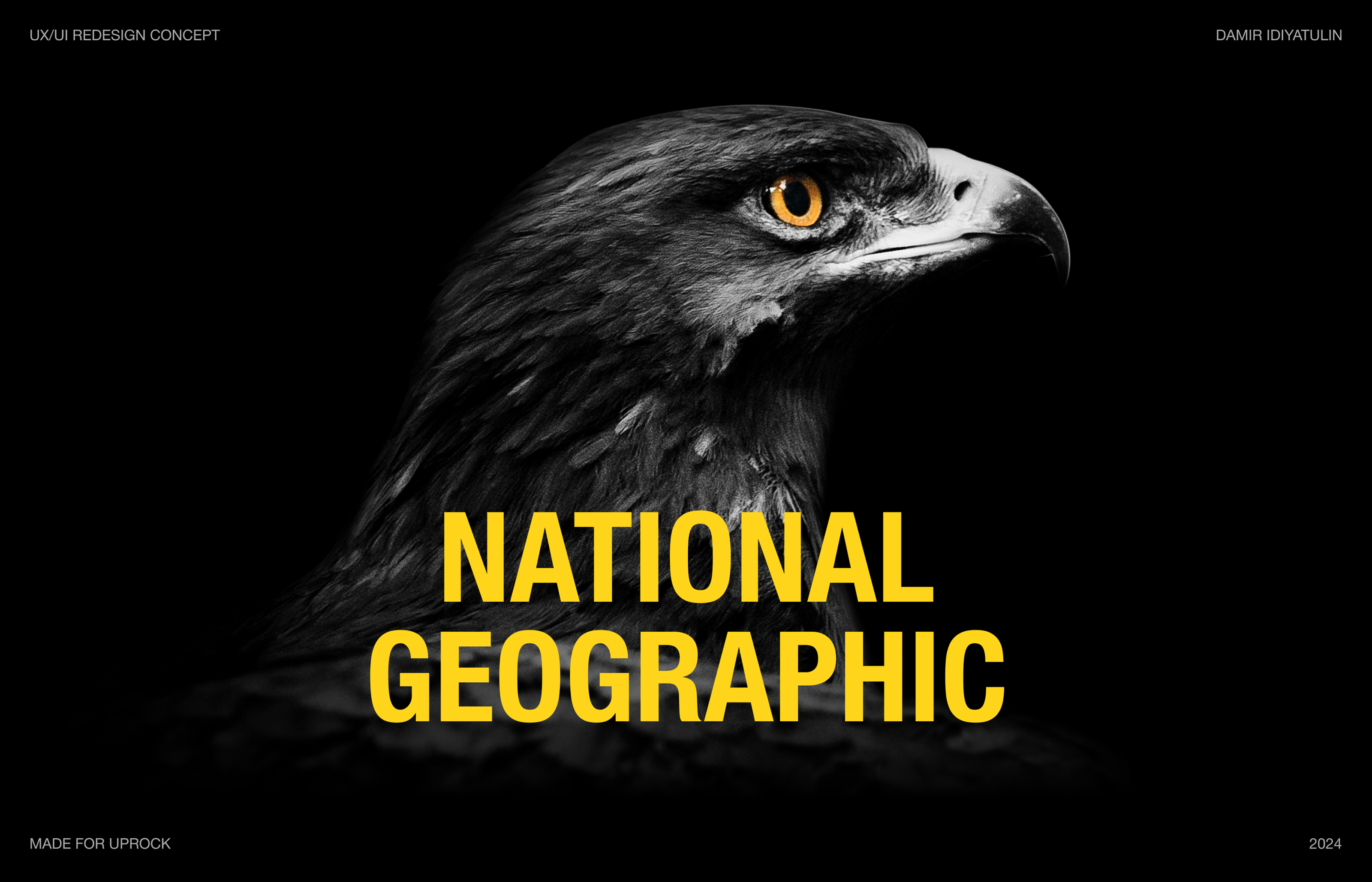National Geographic | Corporate redesign — Изображение №1 — Интерфейсы, Брендинг на Dprofile