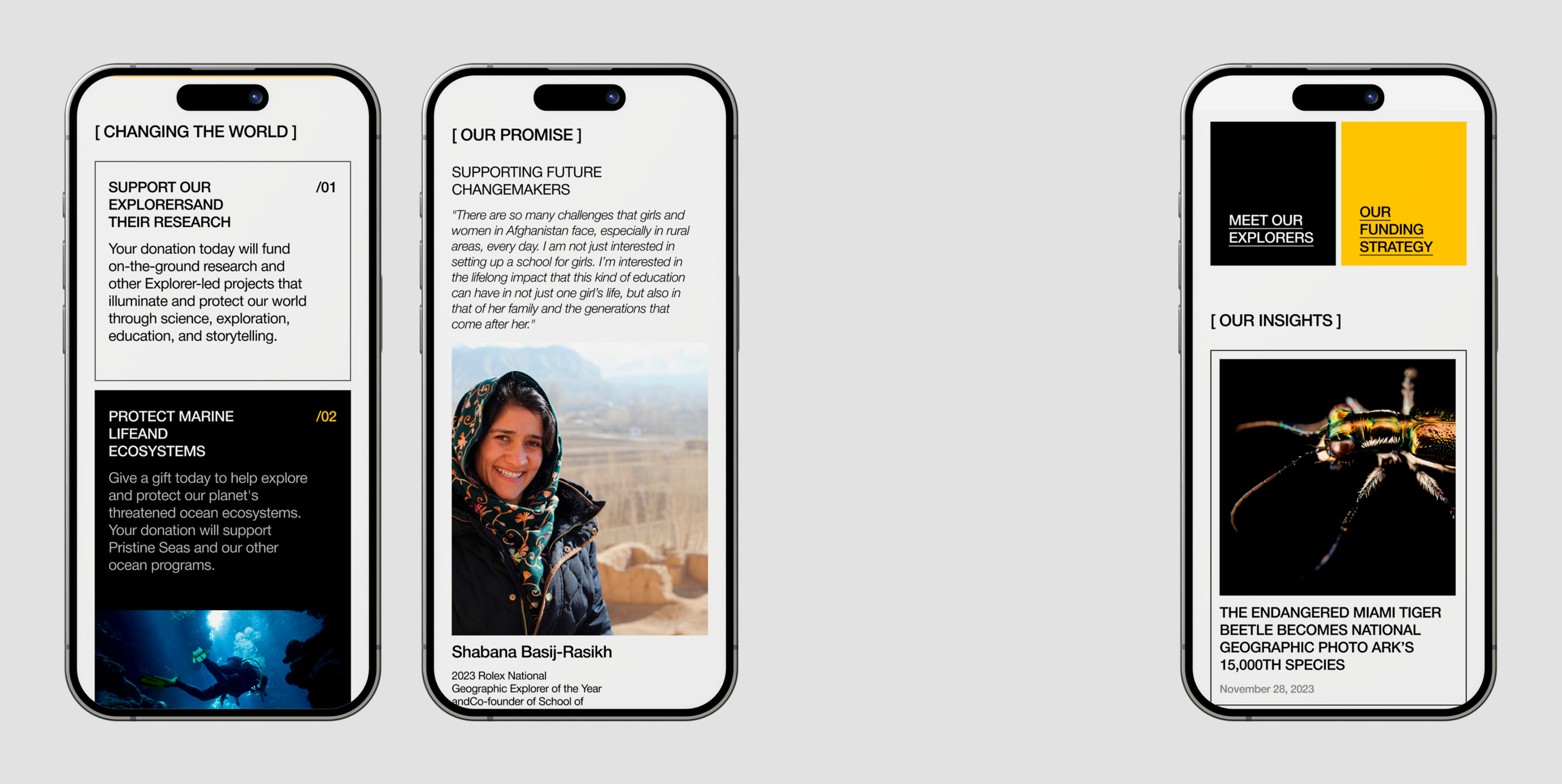 National Geographic | Corporate redesign — Изображение №10 — Интерфейсы, Брендинг на Dprofile