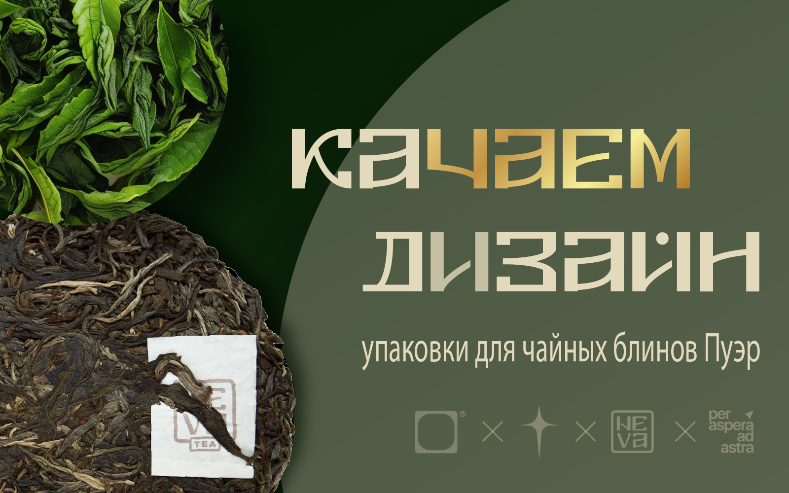 Дизайн упаковки чая Шу Пуэр и Шен Пуэр — Изображение №1 — Брендинг на Dprofile
