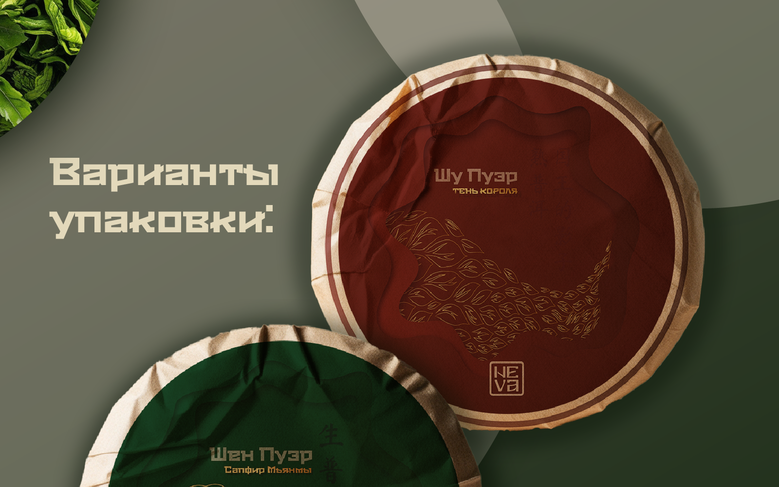 Дизайн упаковки чая Шу Пуэр и Шен Пуэр — Изображение №6 — Брендинг на Dprofile