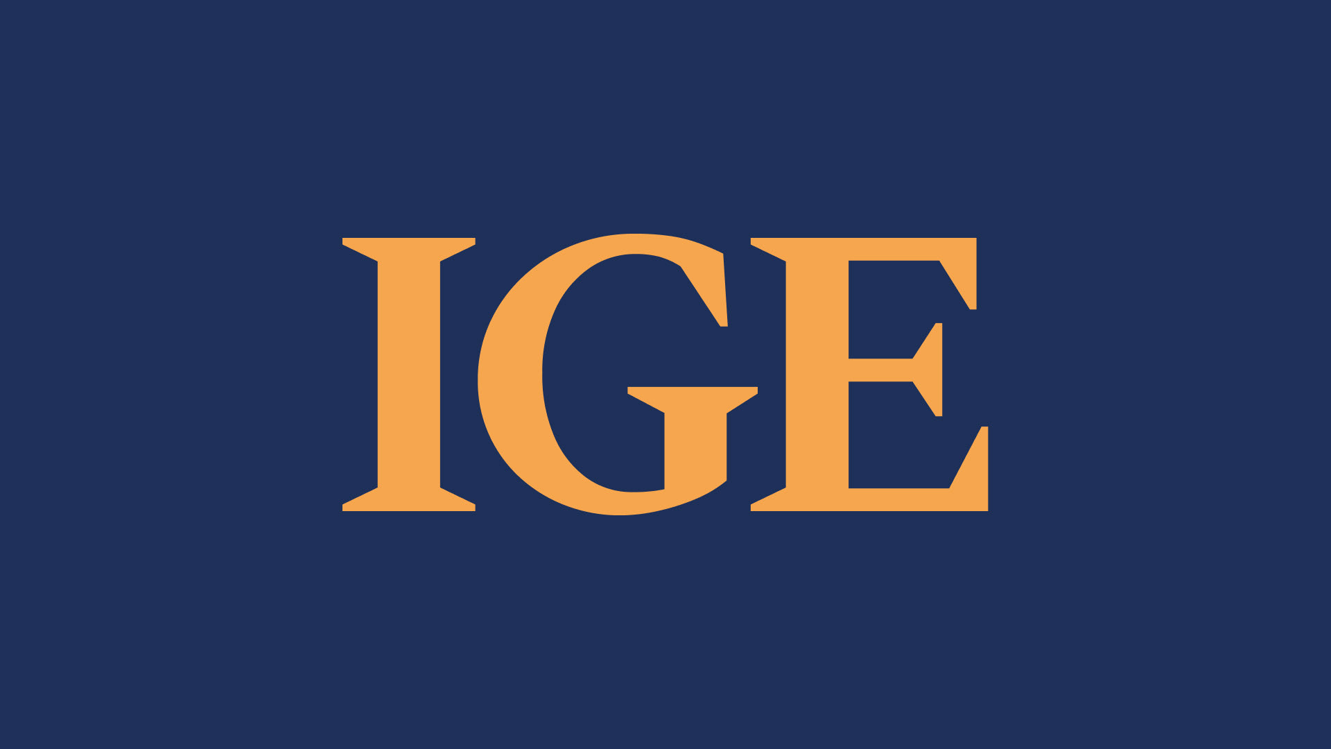IGE - Brand Identity — Изображение №3 — Брендинг, Графика на Dprofile