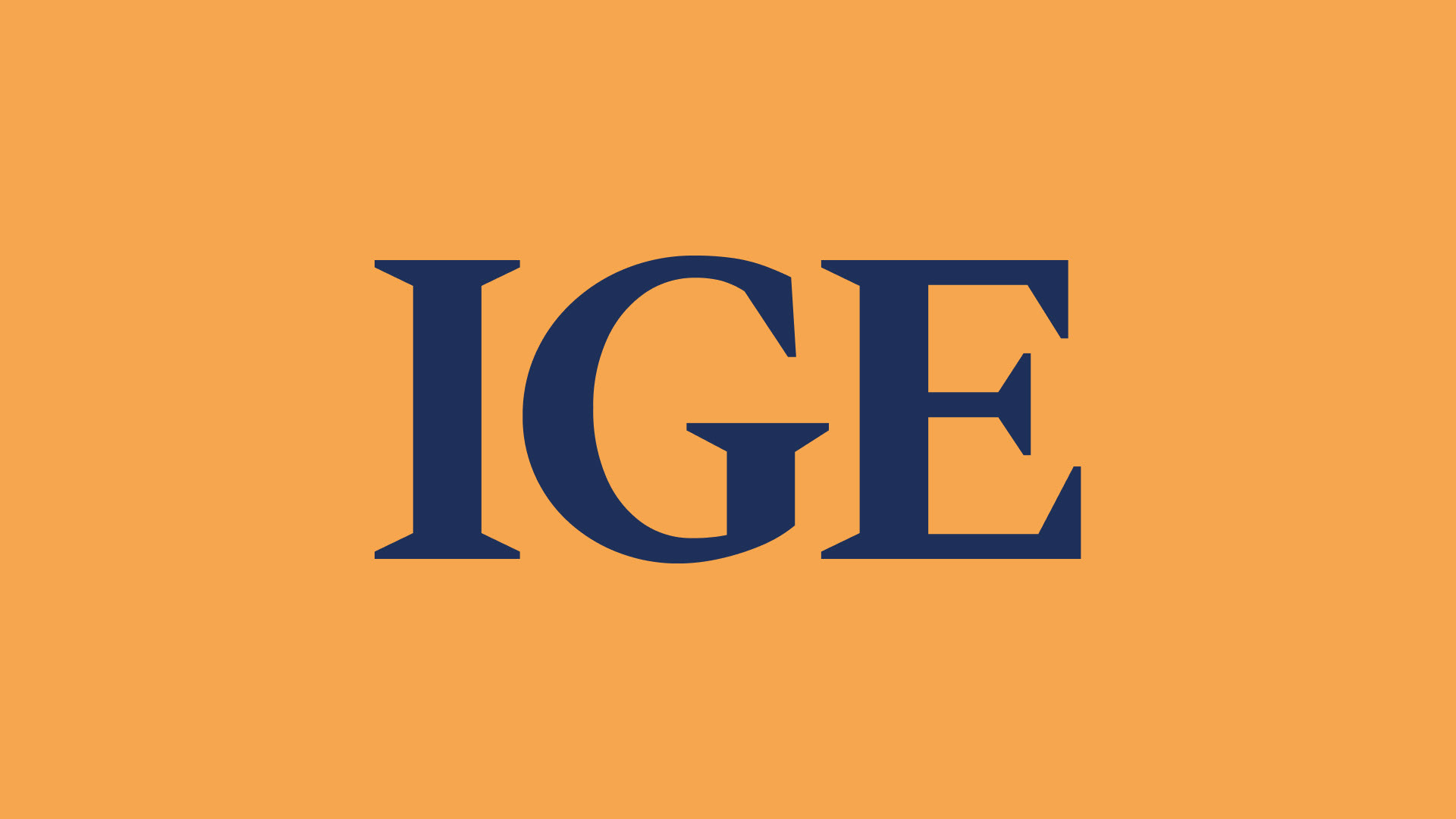 IGE - Brand Identity — Изображение №20 — Брендинг, Графика на Dprofile