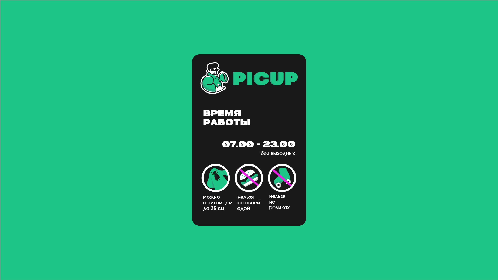 PICUP — Изображение №16 — Брендинг на Dprofile