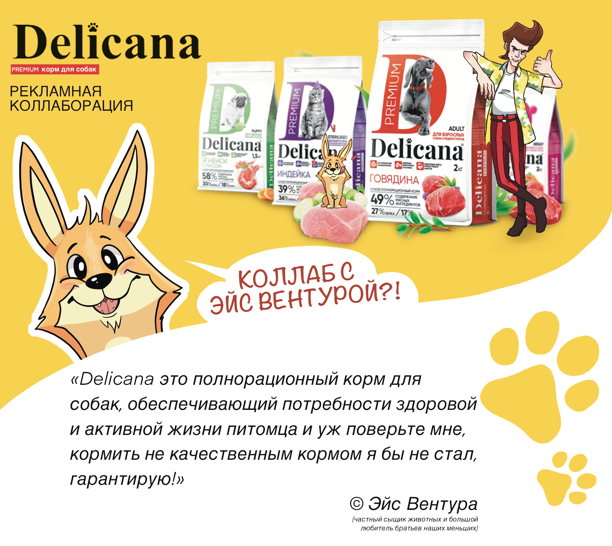 Персонаж для рекламы корма от "Delicana" — Изображение №1 — Иллюстрация, Маркетинг на Dprofile